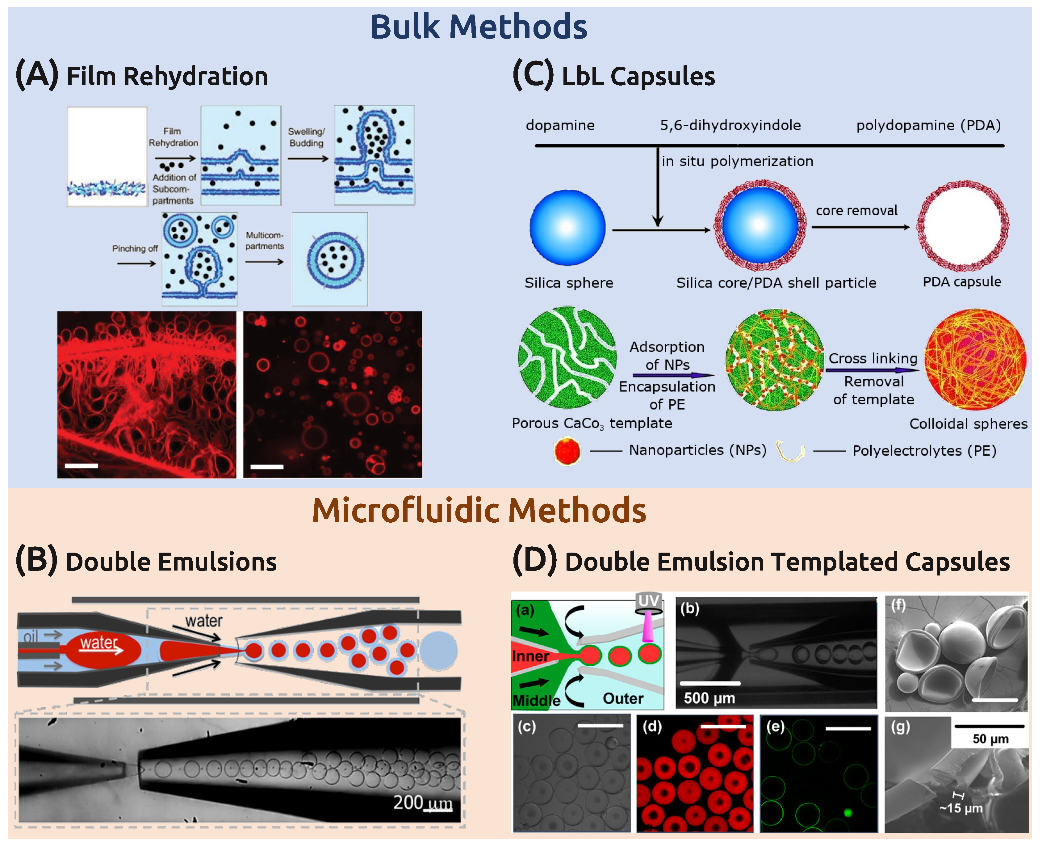 Chemistry 02 00028 g003