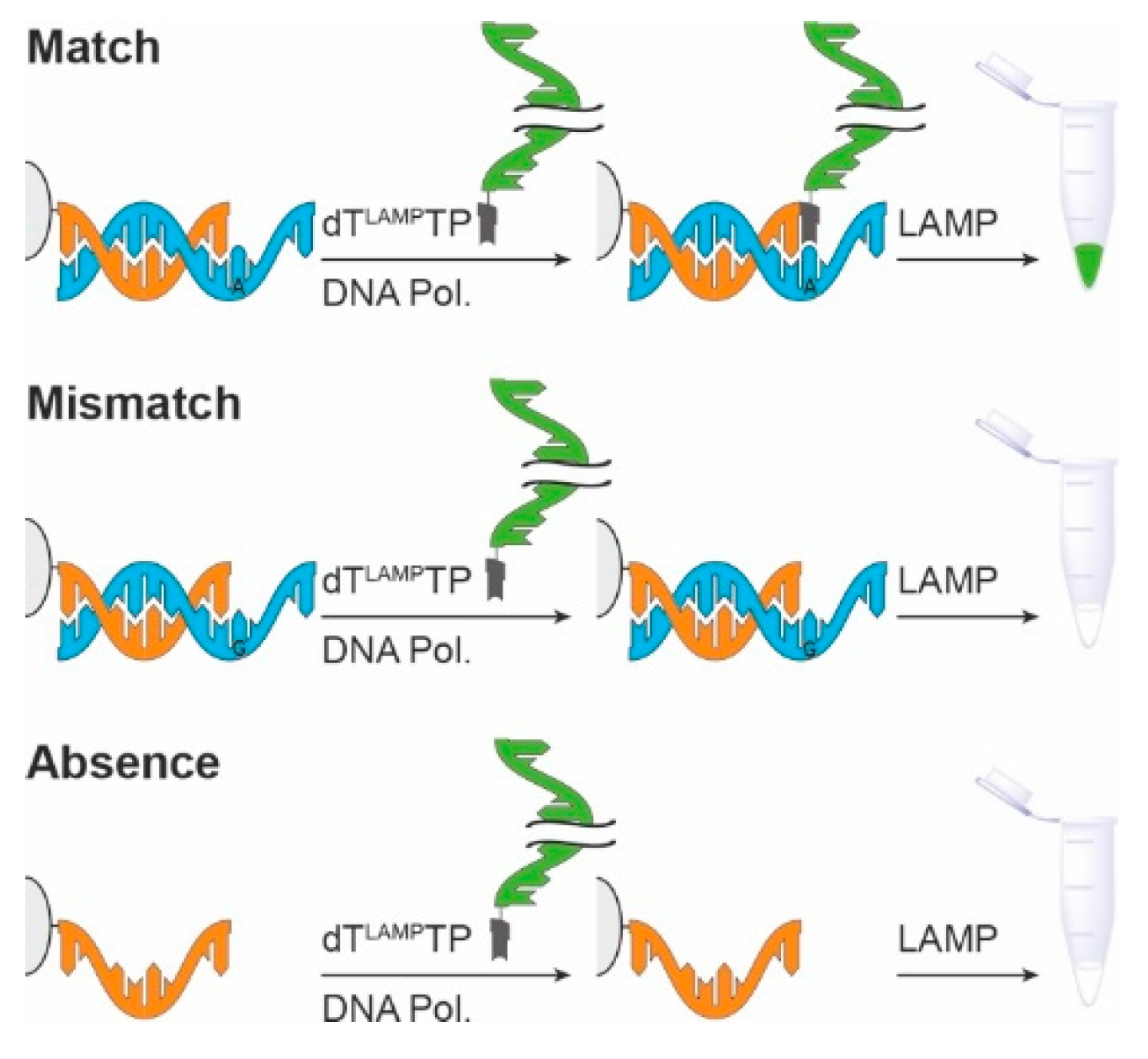 Chemistry 02 00029 g001