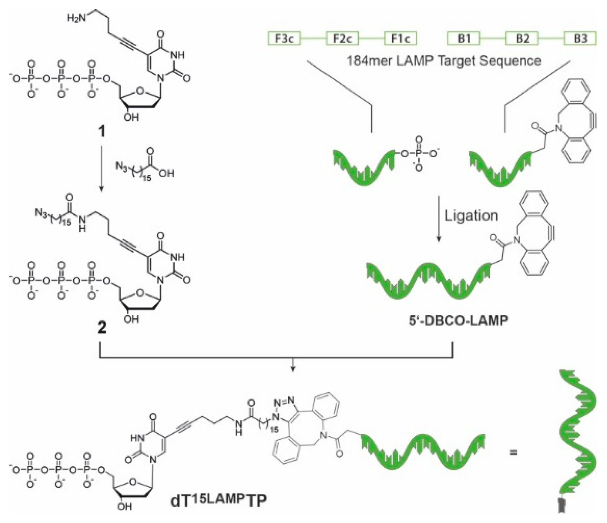 Chemistry 02 00029 g002