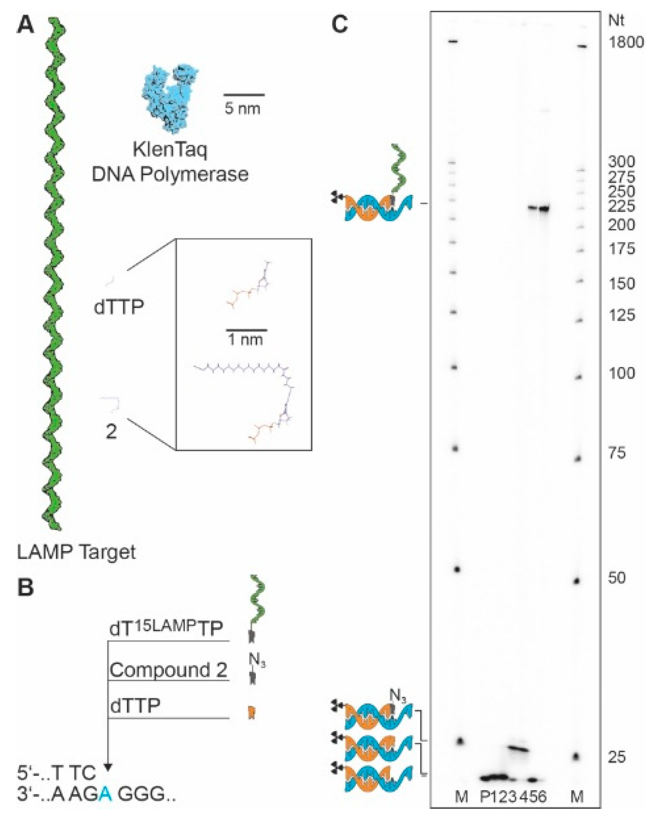 Chemistry 02 00029 g003