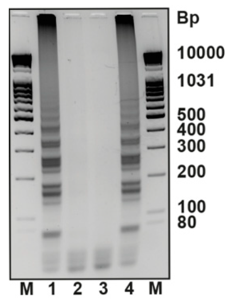 Chemistry 02 00029 g005