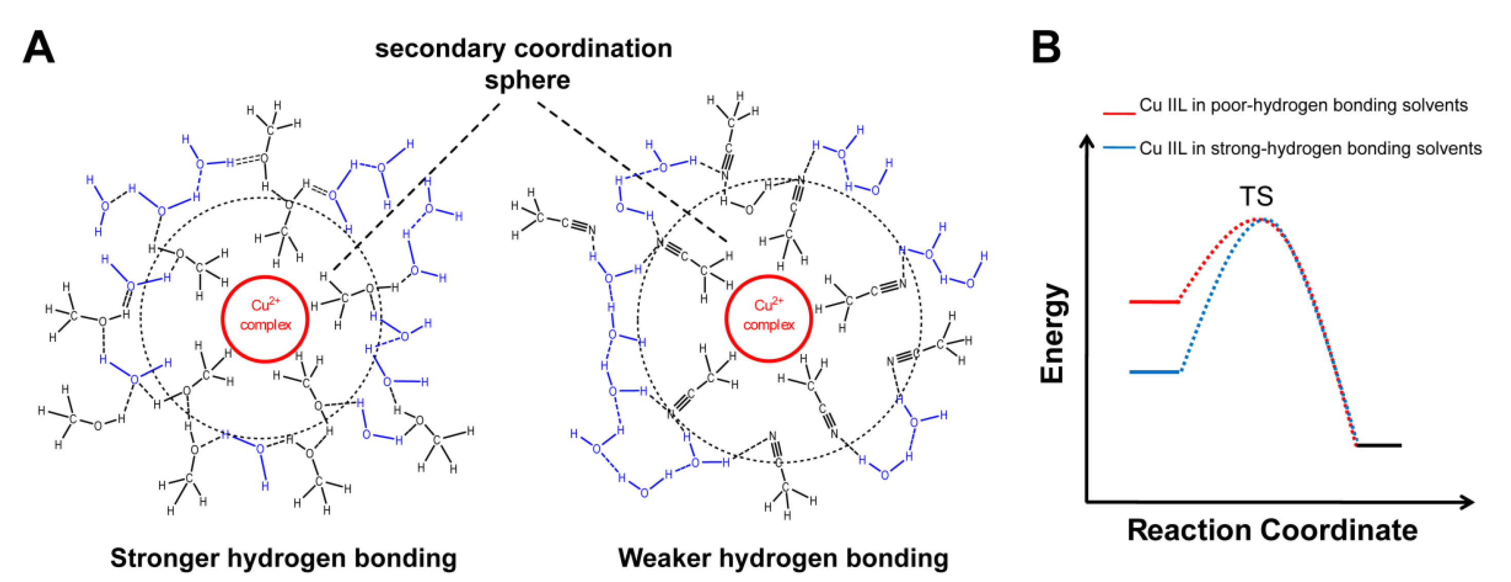 Chemistry 02 00032 g011 Chemistry 02 00032 g011