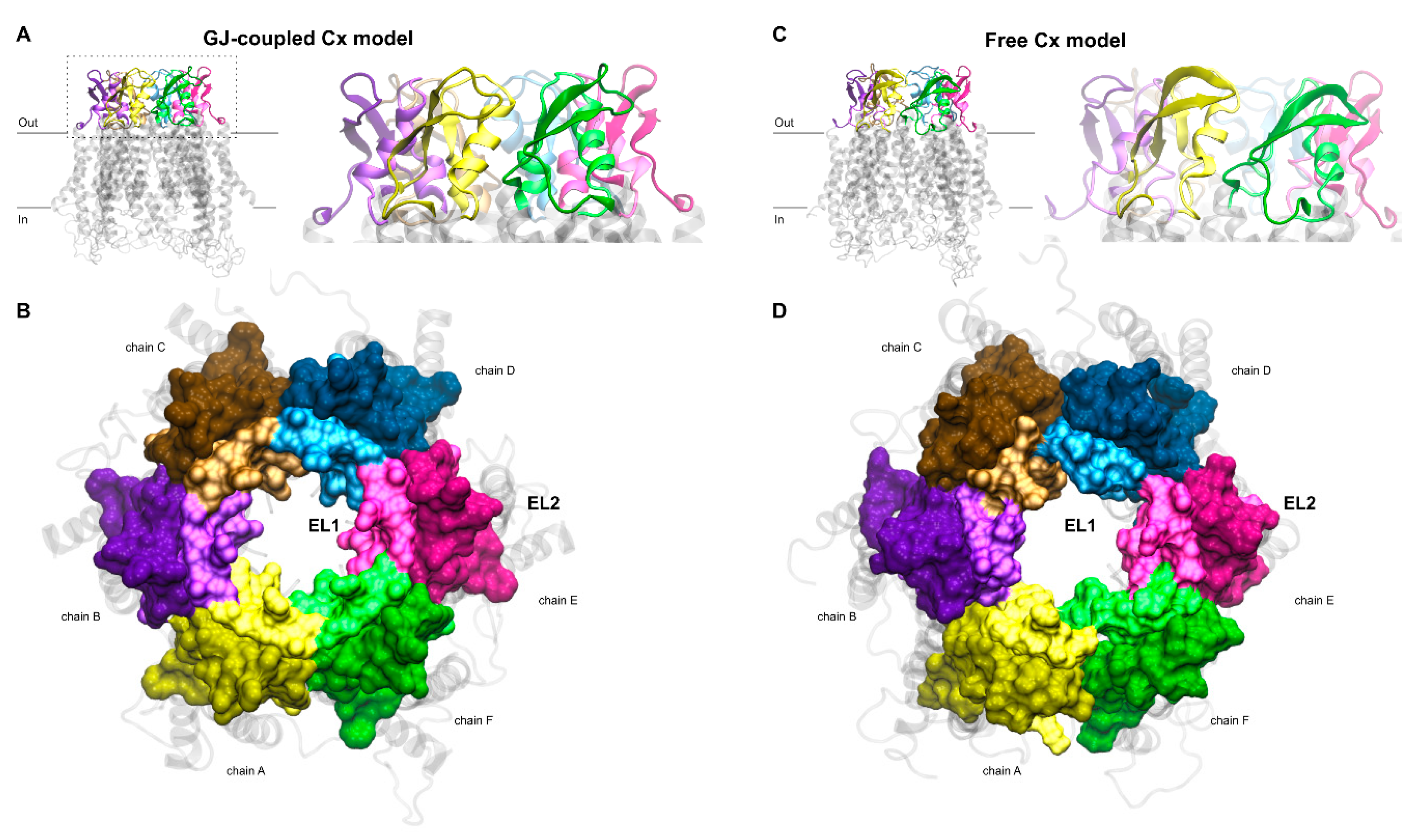 Chemistry Free Full Text Peptide Binding Sites Of Connexin Proteins Html