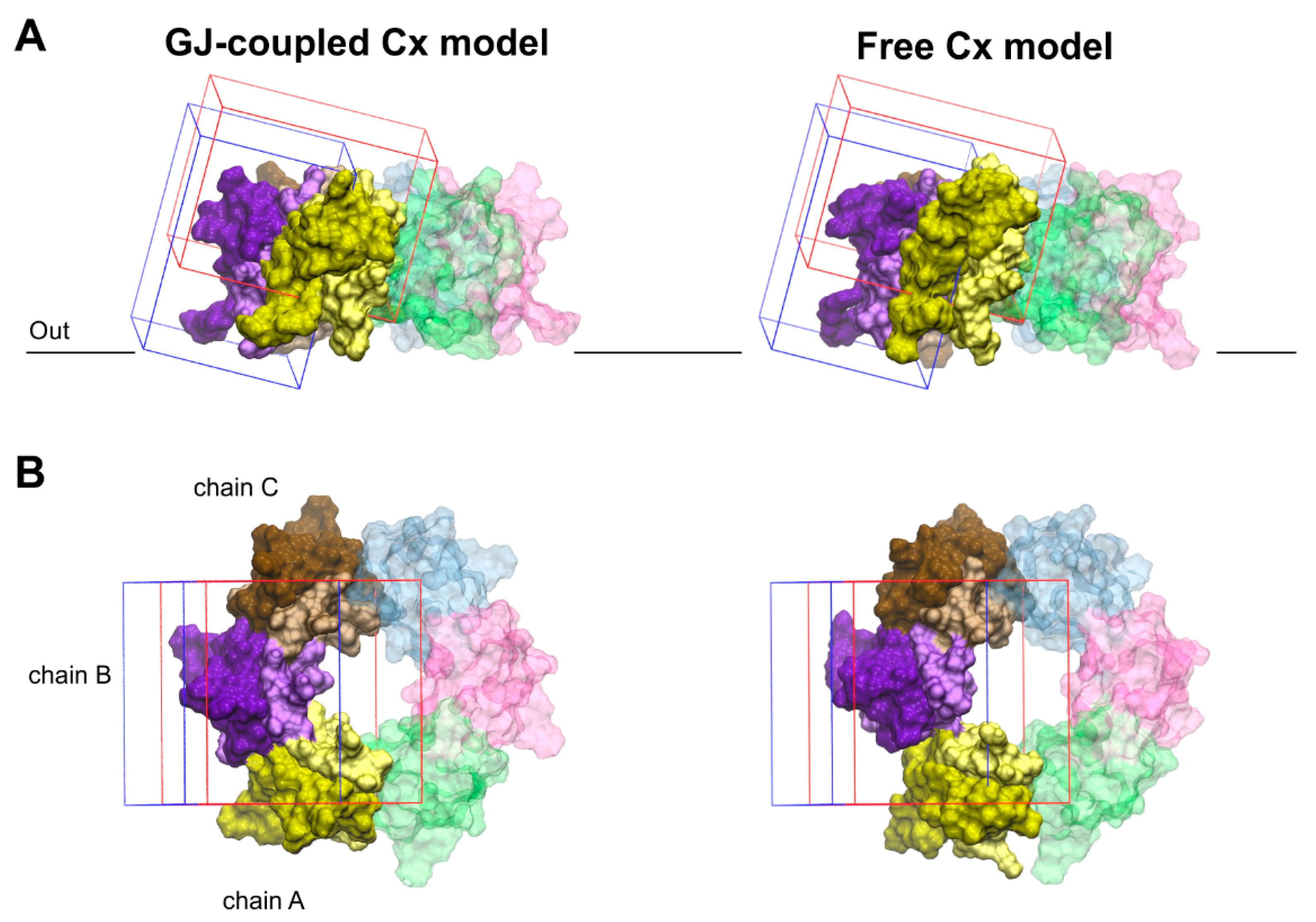 Chemistry Free Full Text Peptide Binding Sites Of Connexin Proteins Html