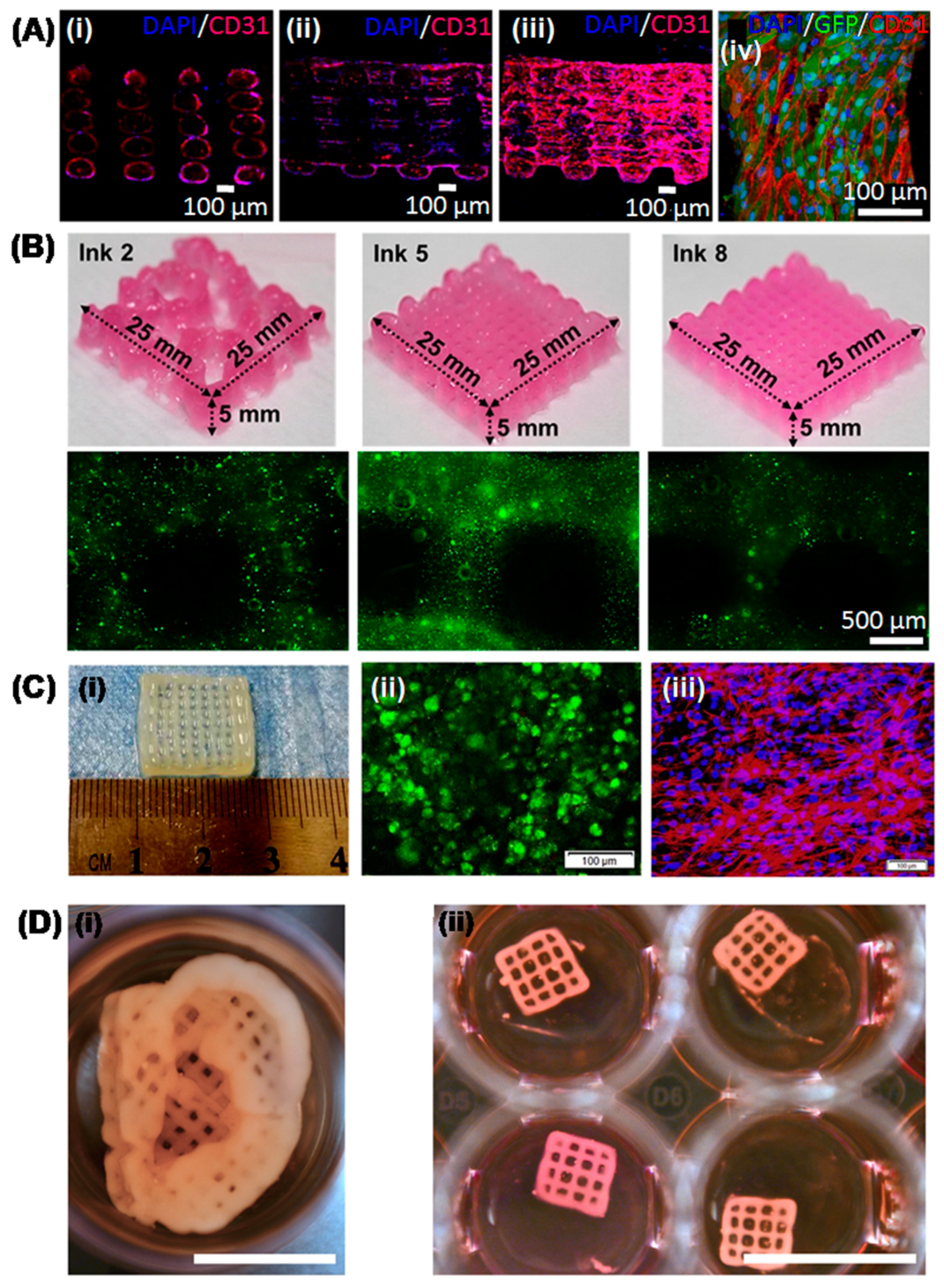 Chemistry 03 00014 g003 Chemistry 03 00014 g003