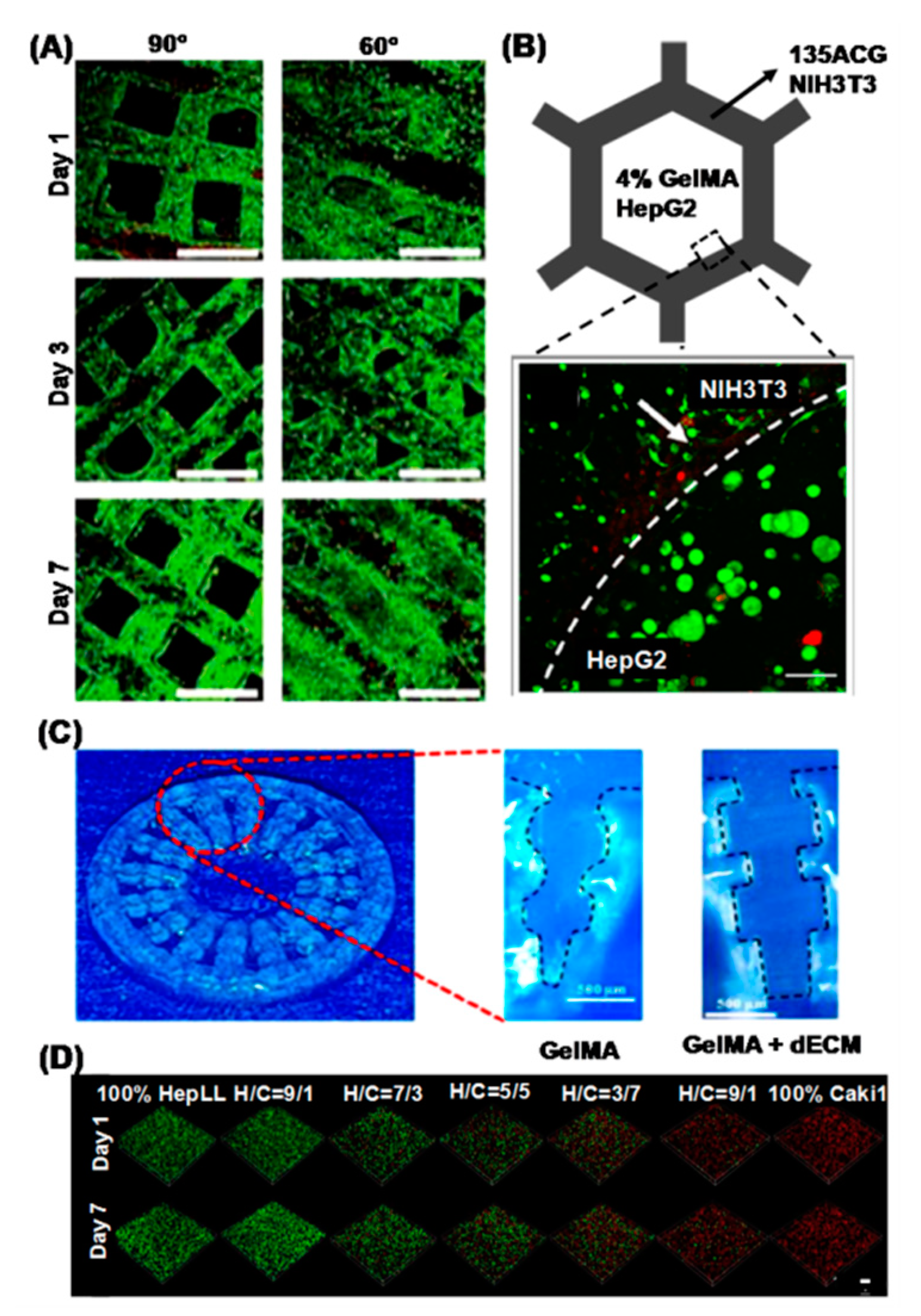Chemistry 03 00014 g004 Chemistry 03 00014 g004
