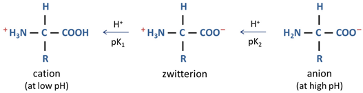 Chemistry 03 00034 i002