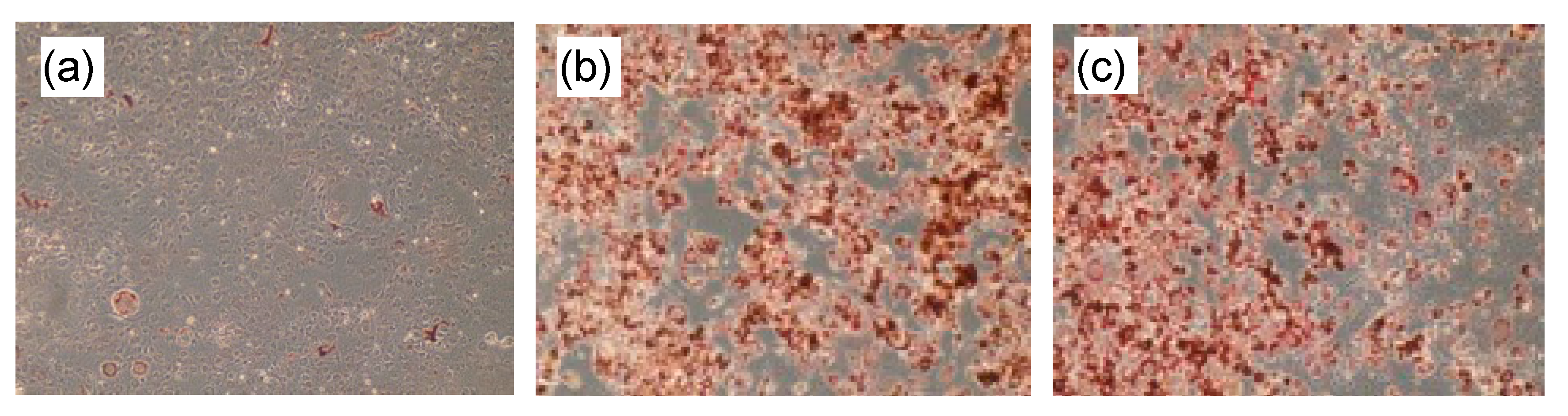 Chemistry 03 00045 g002