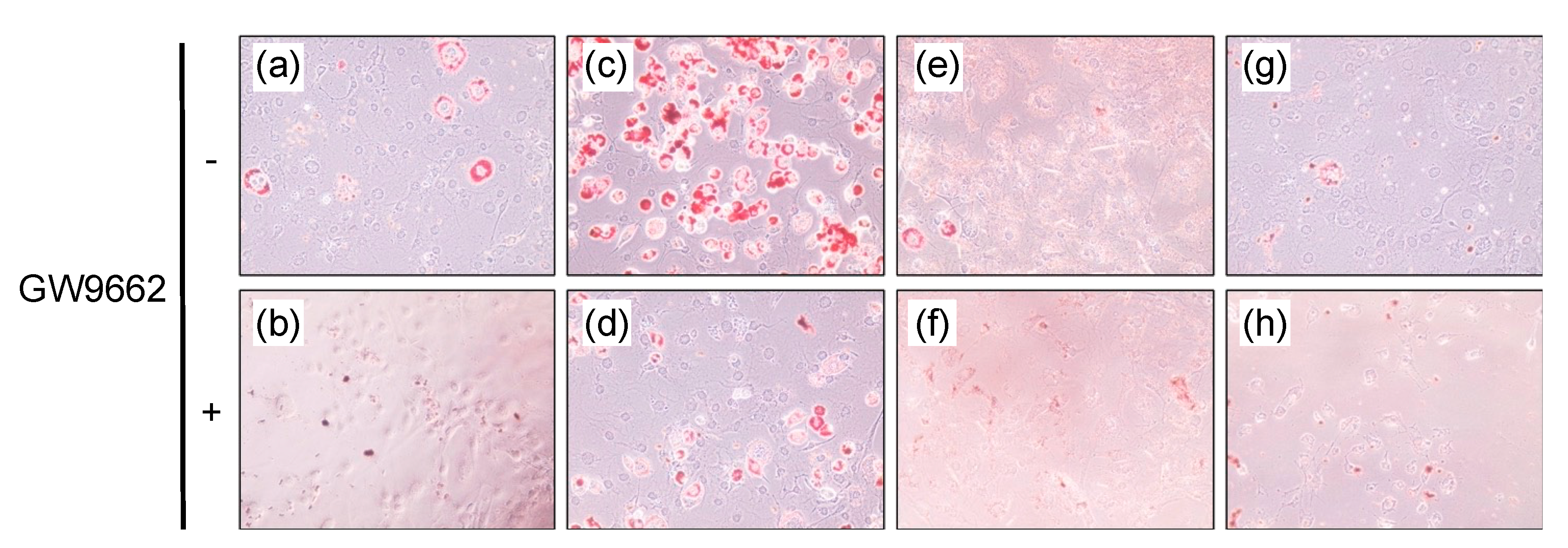 Chemistry 03 00045 g004