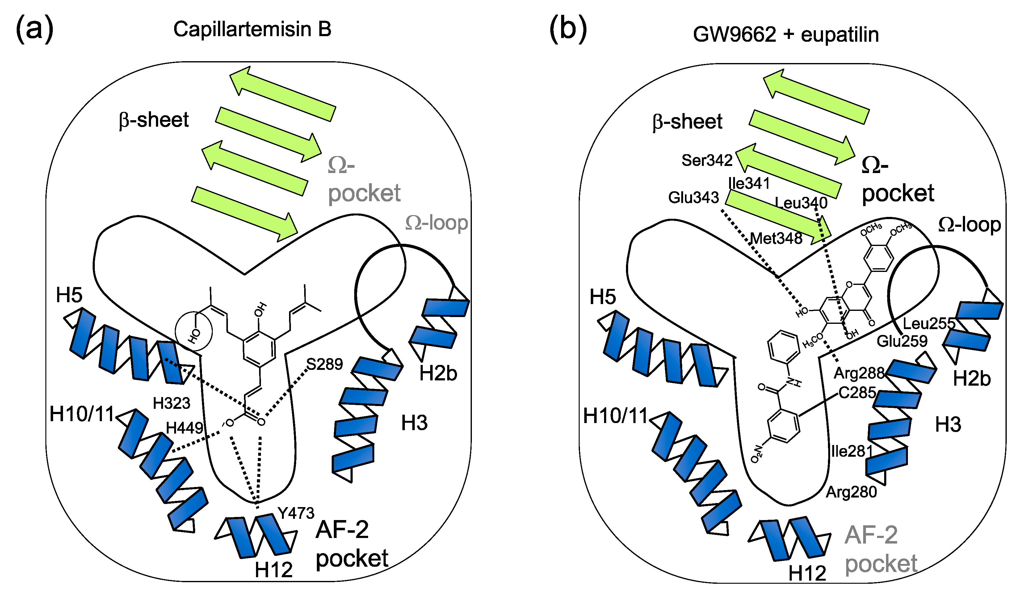 Chemistry 03 00045 g006