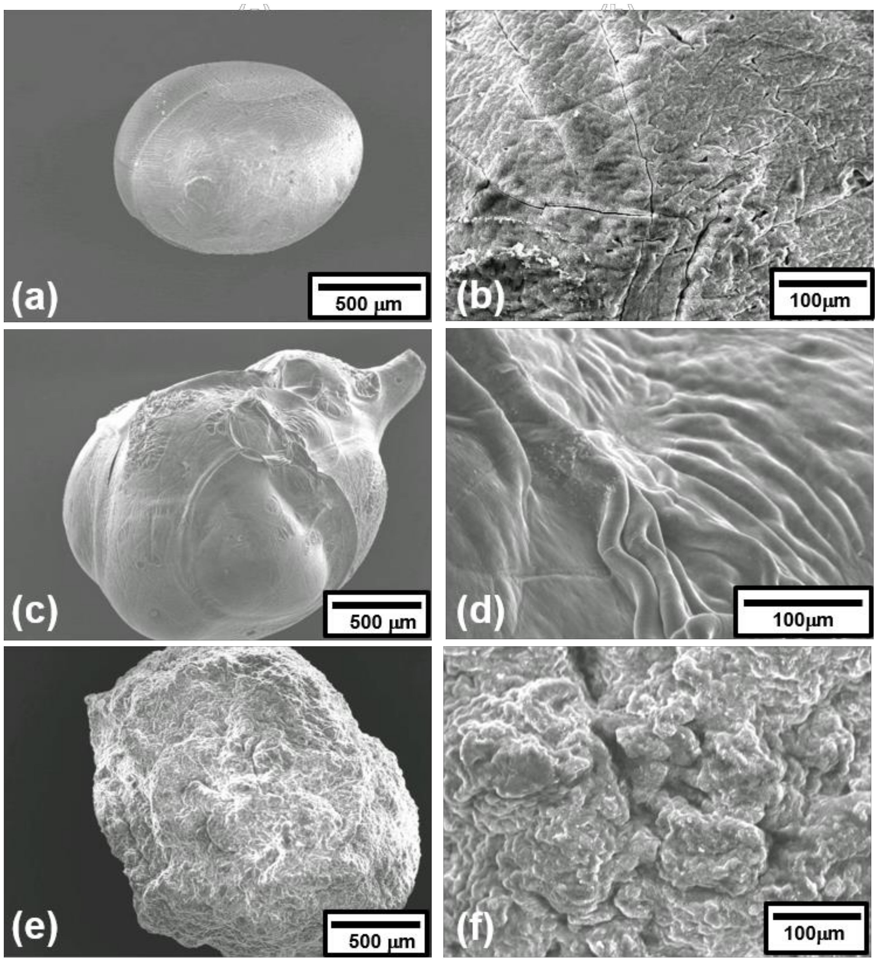 Chemistry 03 00047 g003