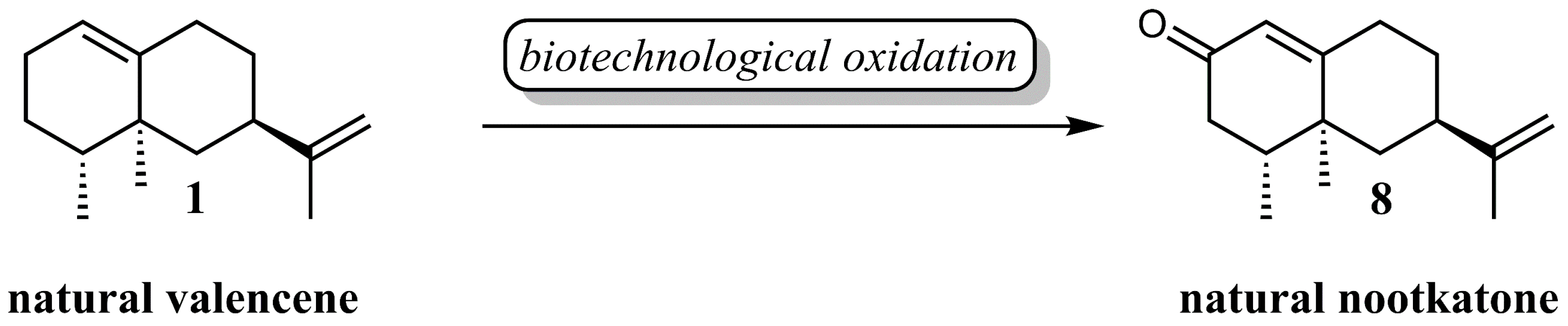 Chemistry 03 00059 g001