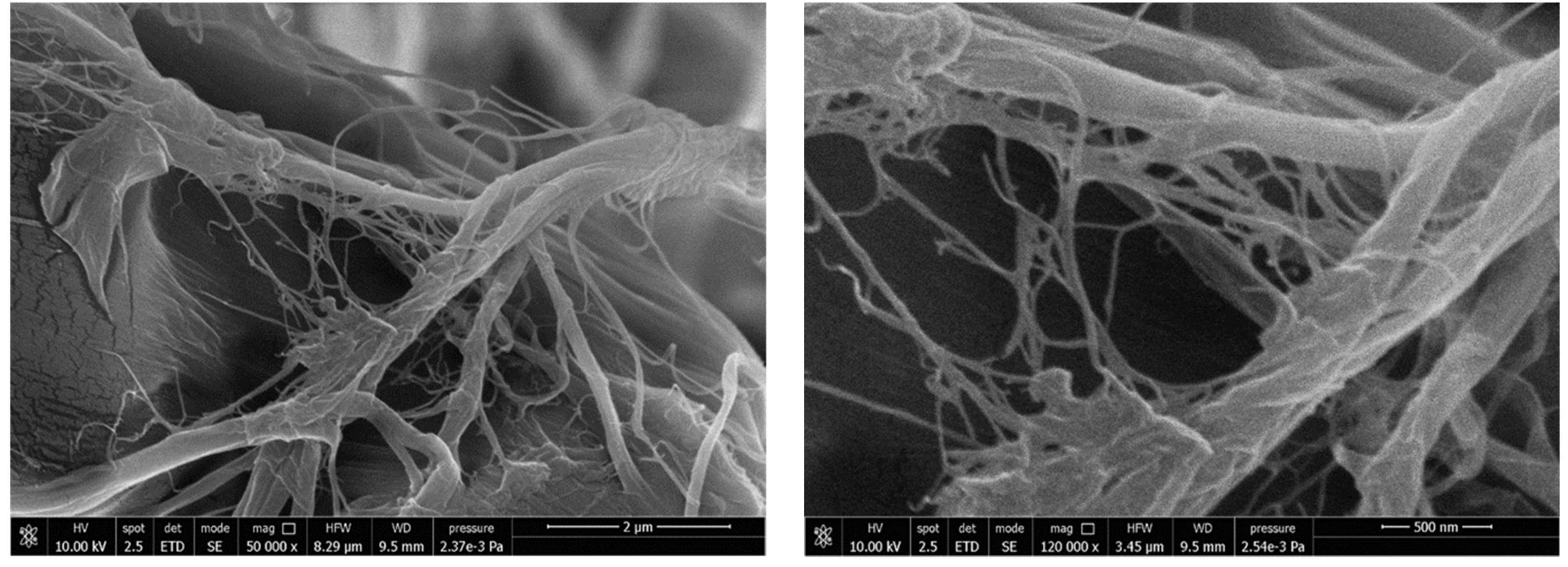 Chemistry 03 00066 g004