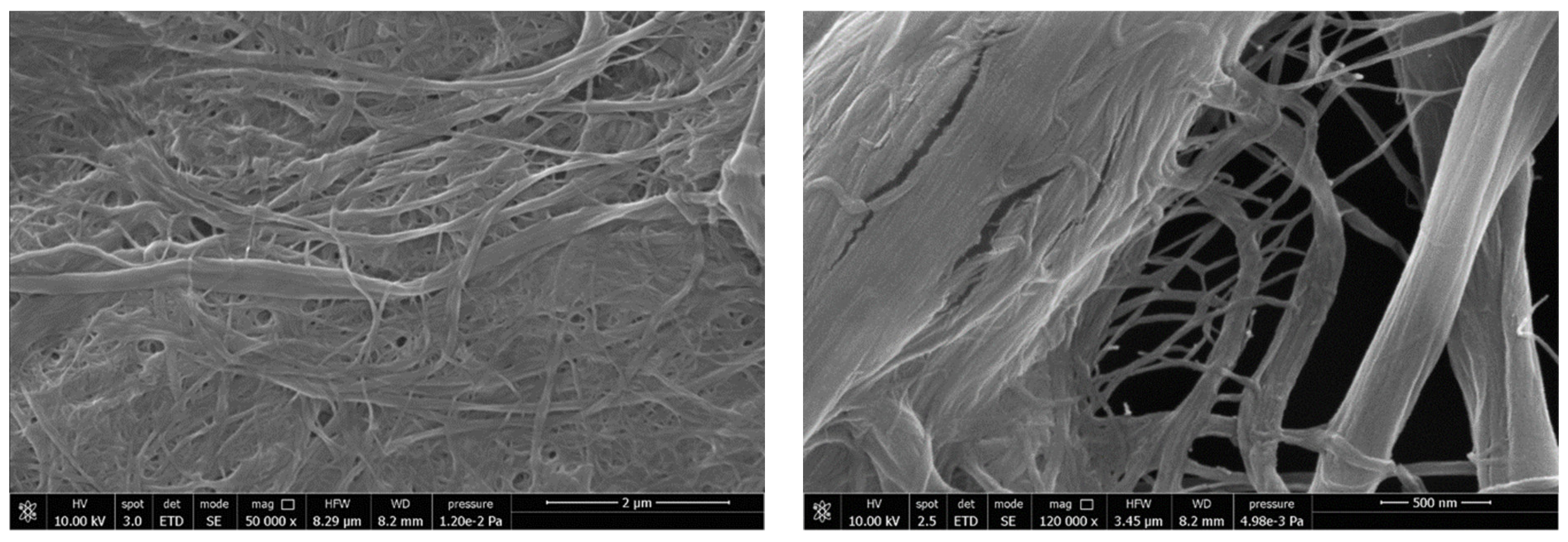 Chemistry 03 00066 g005