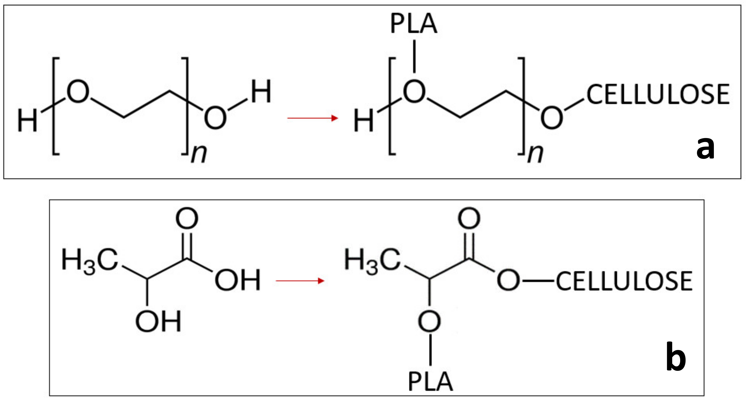 Chemistry 03 00066 g010