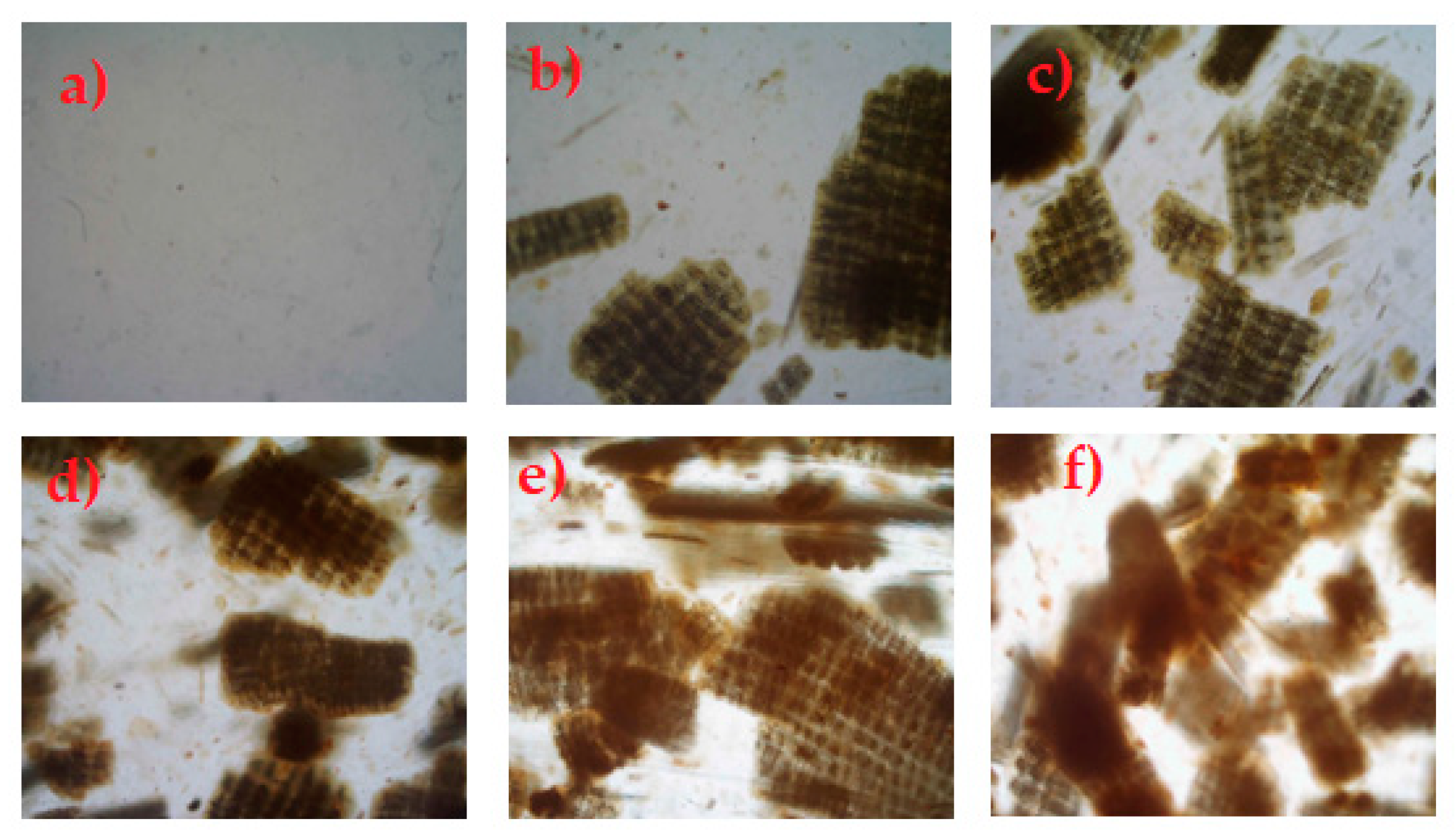 Chemistry 03 00096 g002