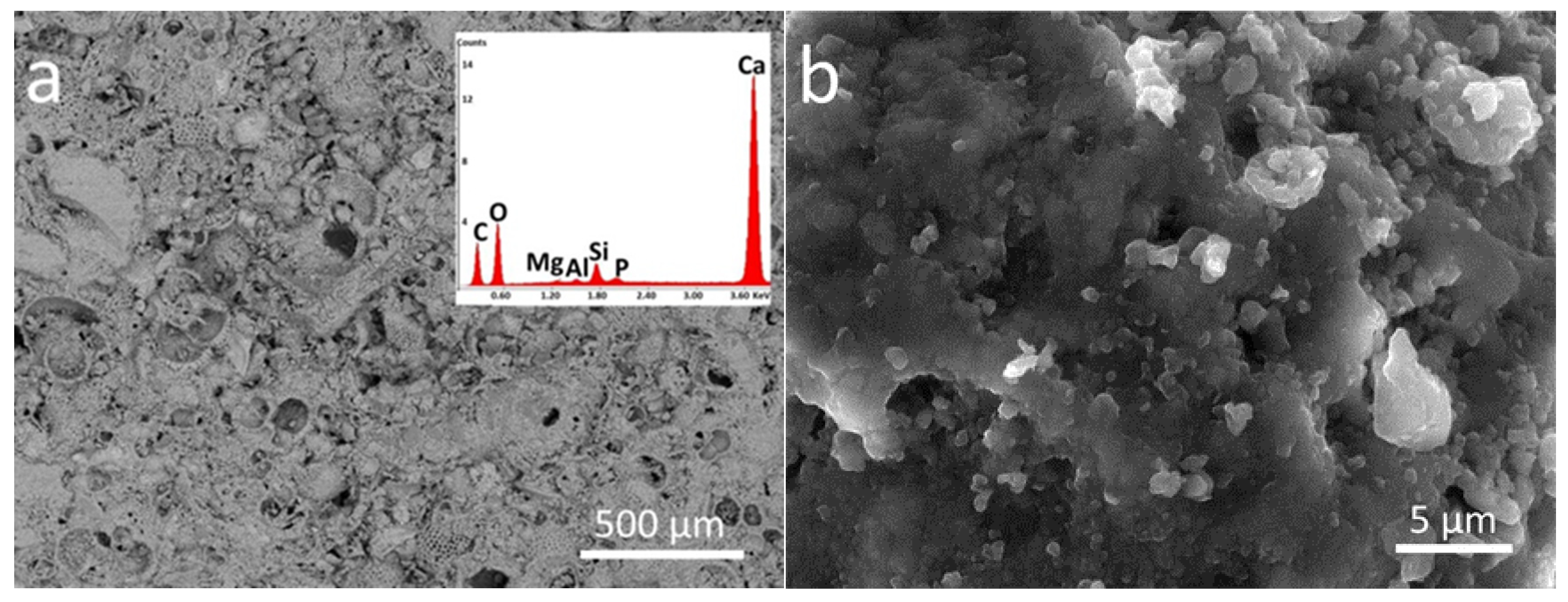 Chemistry 04 00006 g003a