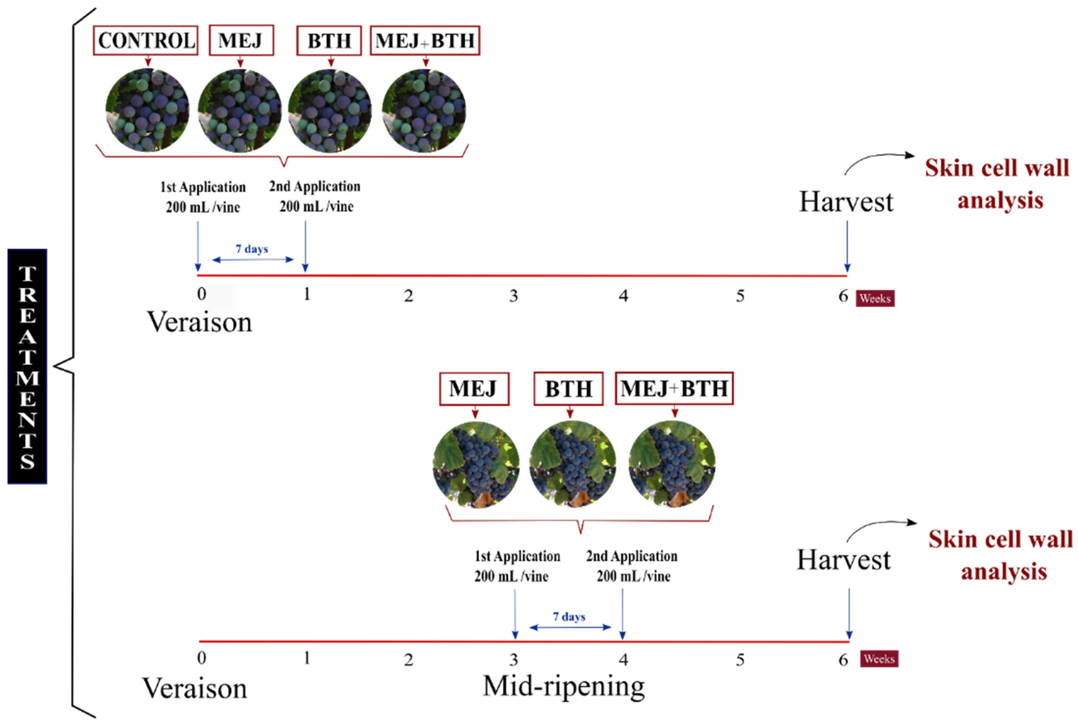 Chemistry 04 00008 g001 550