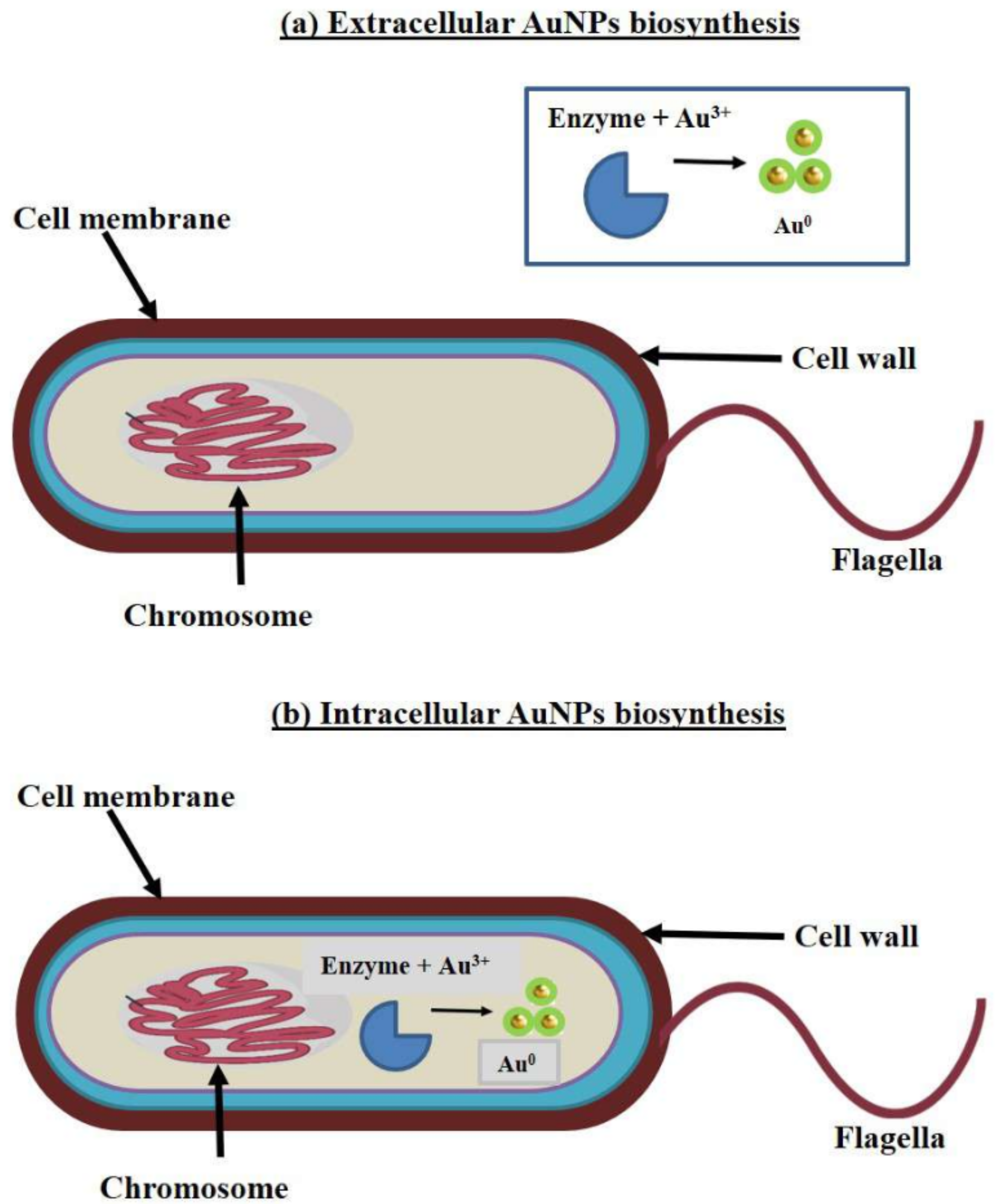 Chemistry 04 00026 g005 550