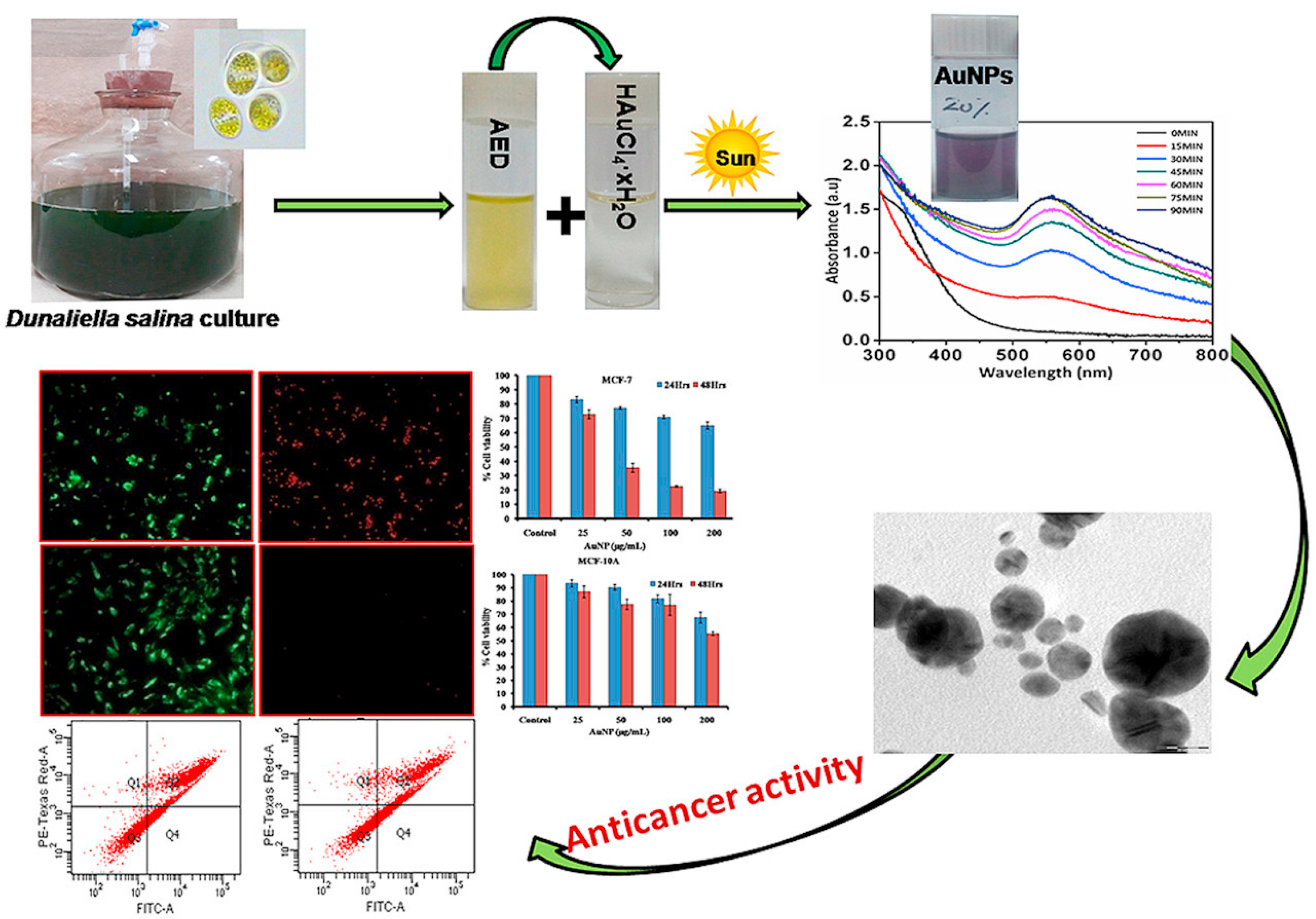 Chemistry 04 00026 g007 550