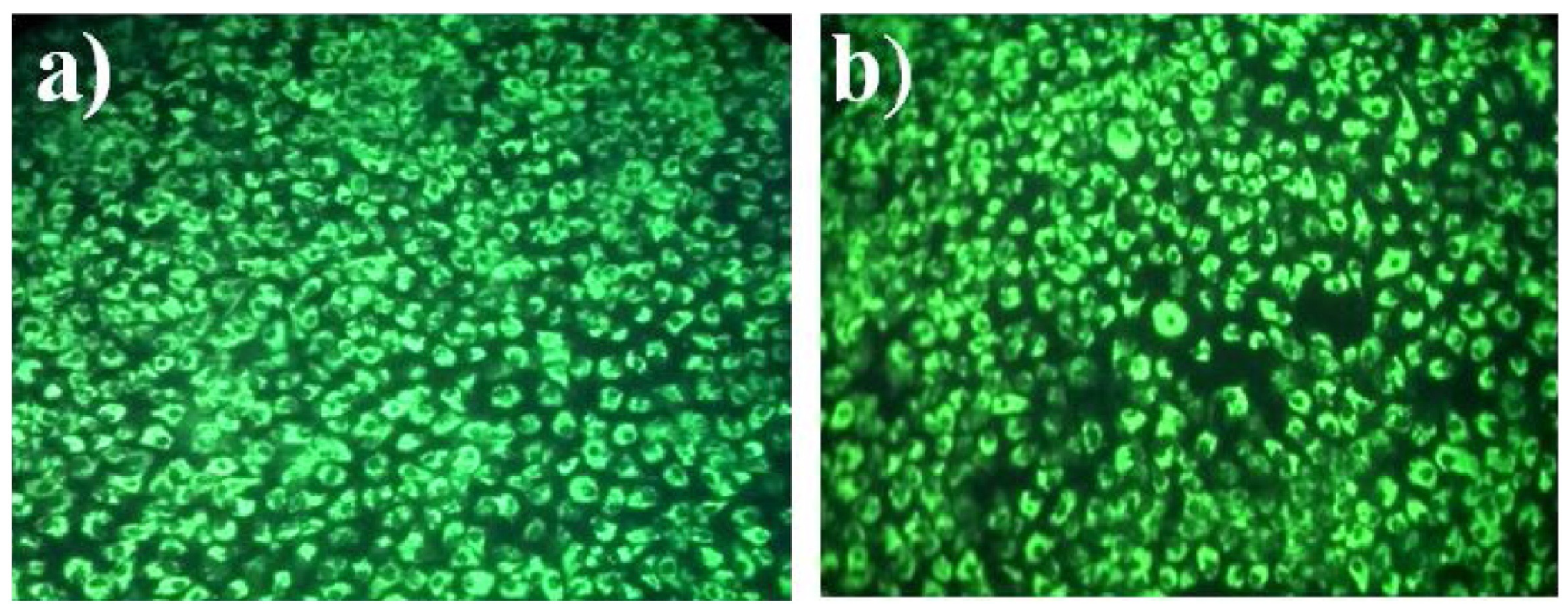 Chemistry 04 00026 g009 550
