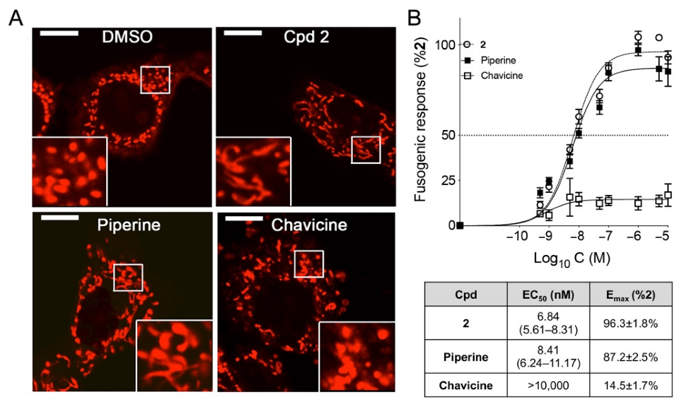 Chemistry 04 00047 g002