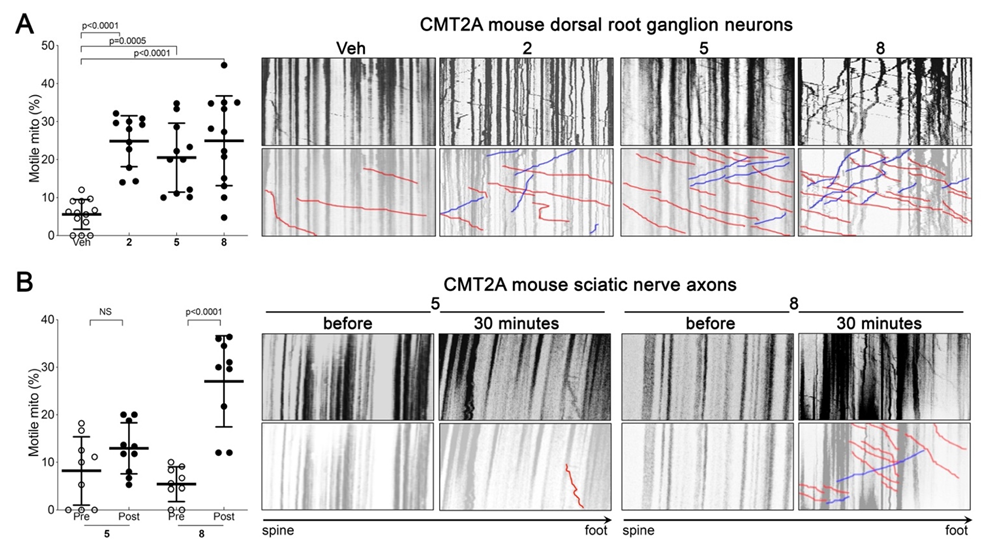 Chemistry 04 00047 g009