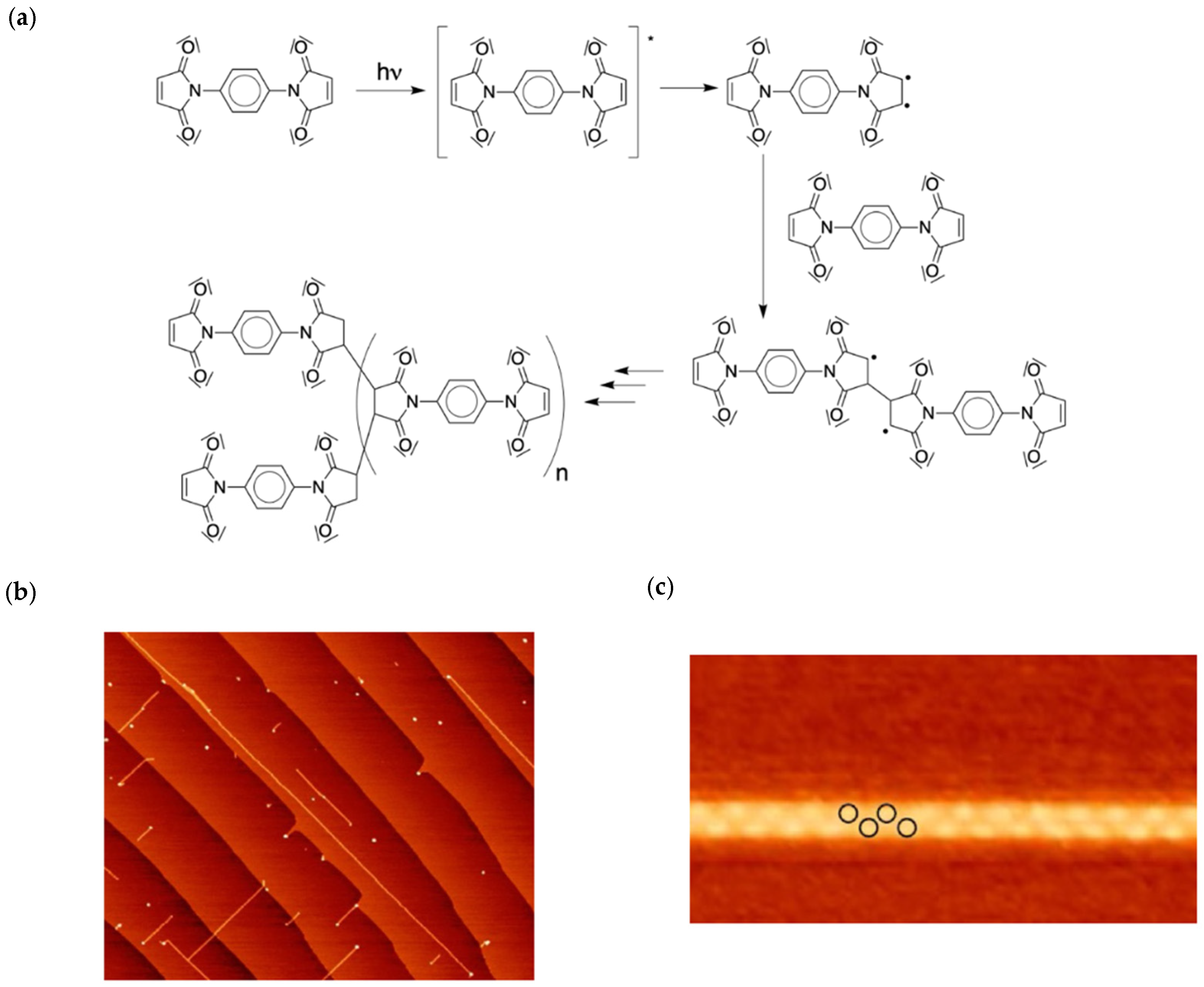 Chemistry 04 00057 g009 550