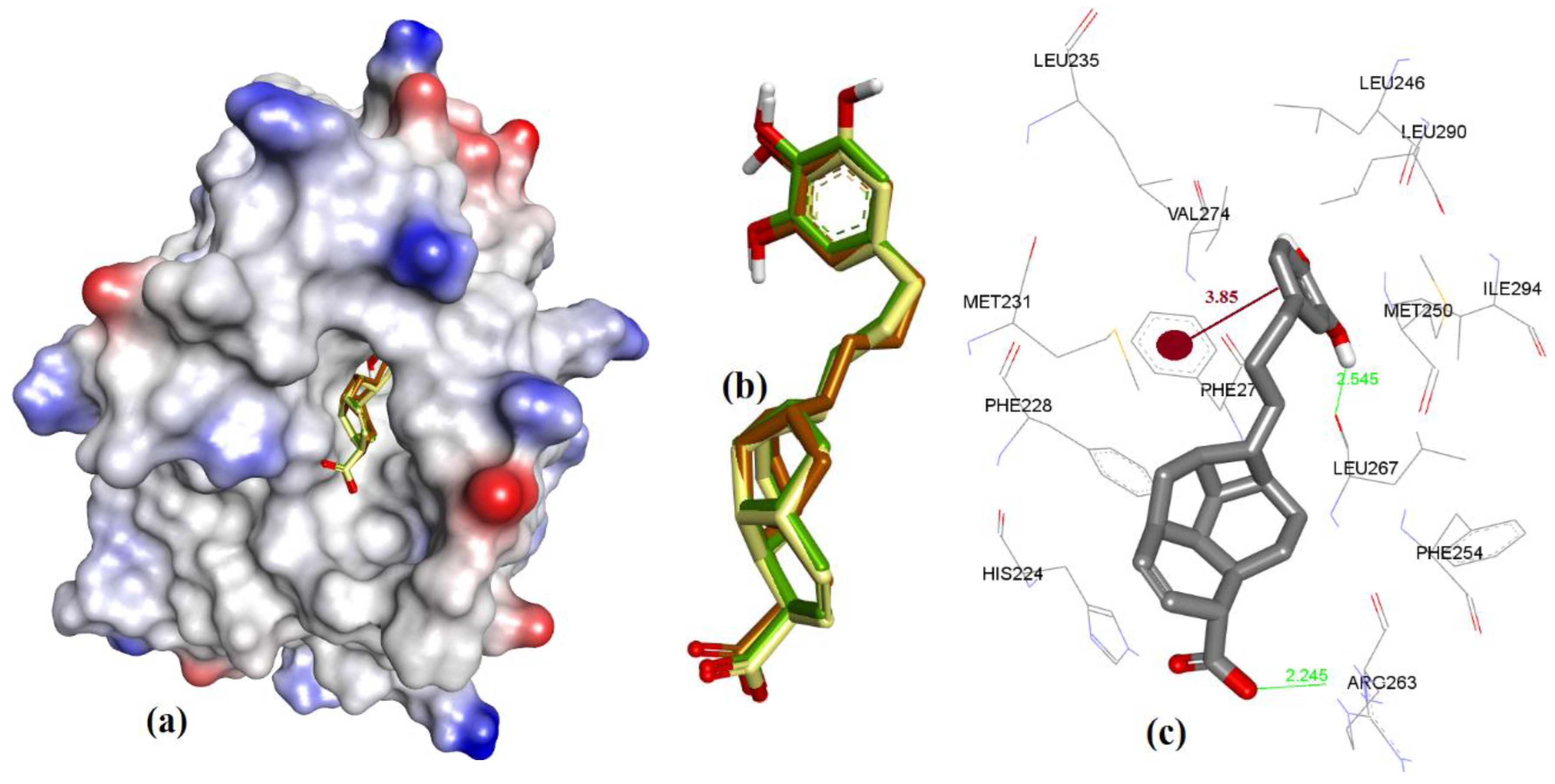 Chemistry 04 00067 g015