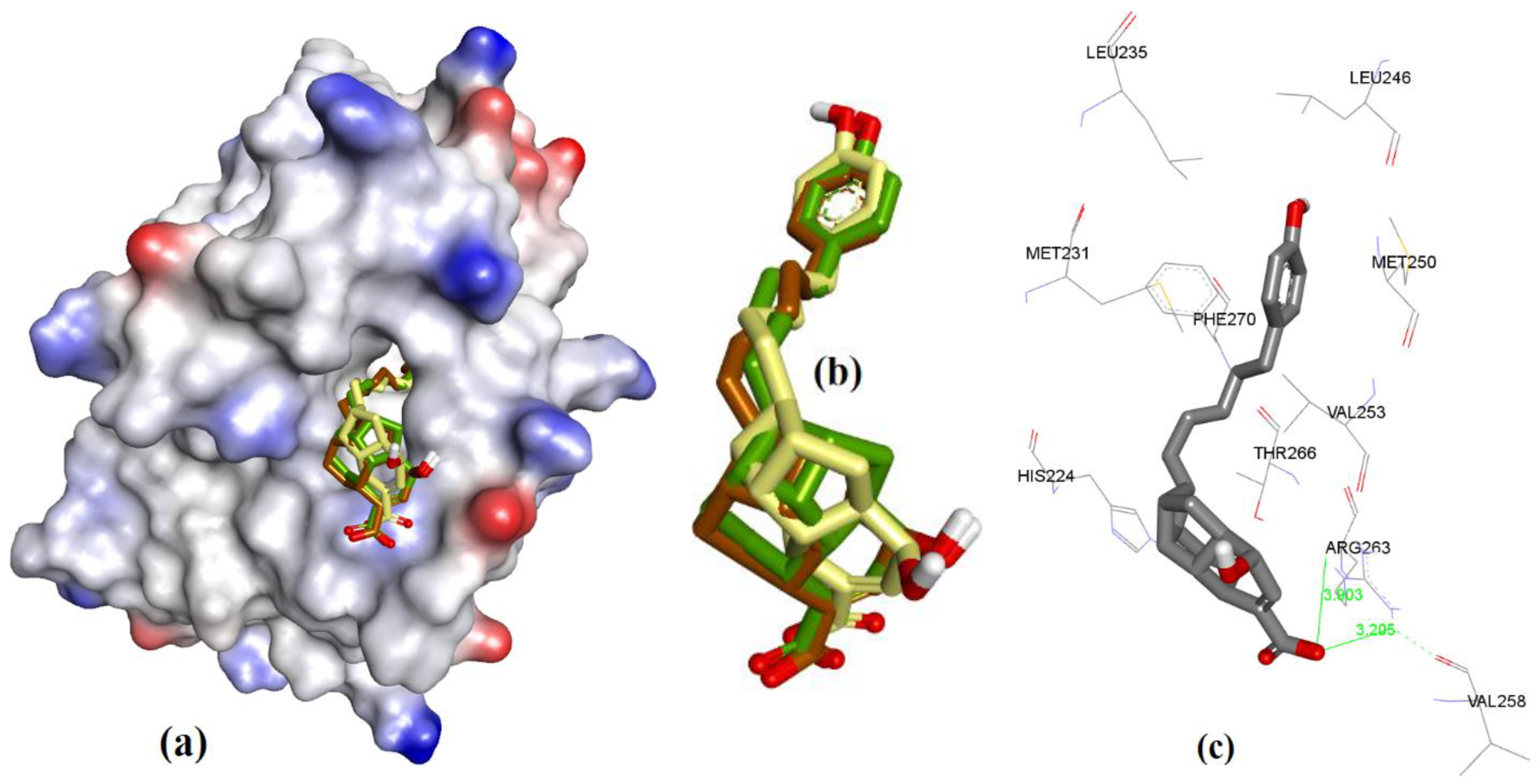 Chemistry 04 00067 g016