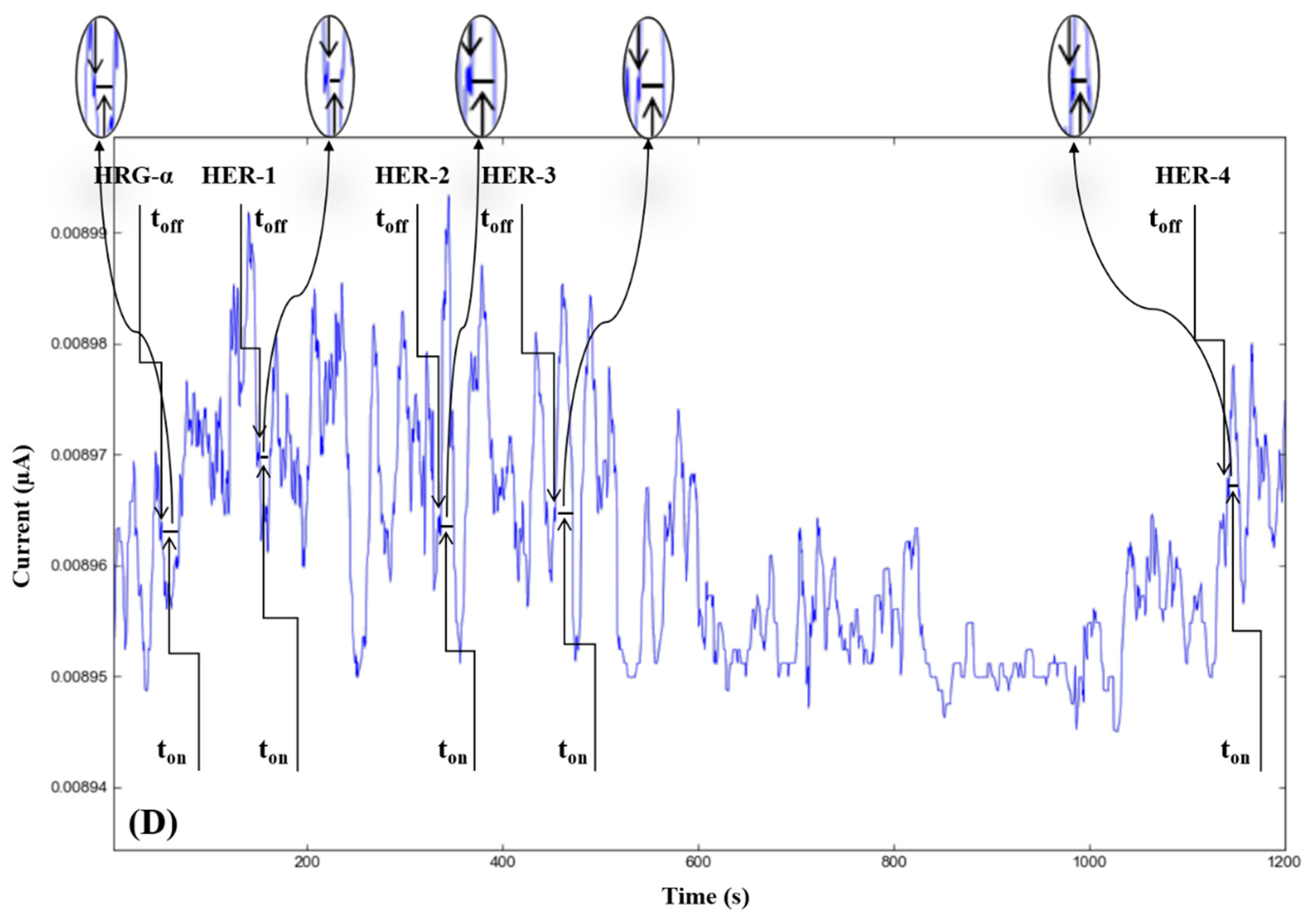 Chemistry 04 00090 g003c Chemistry 04 00090 g003c