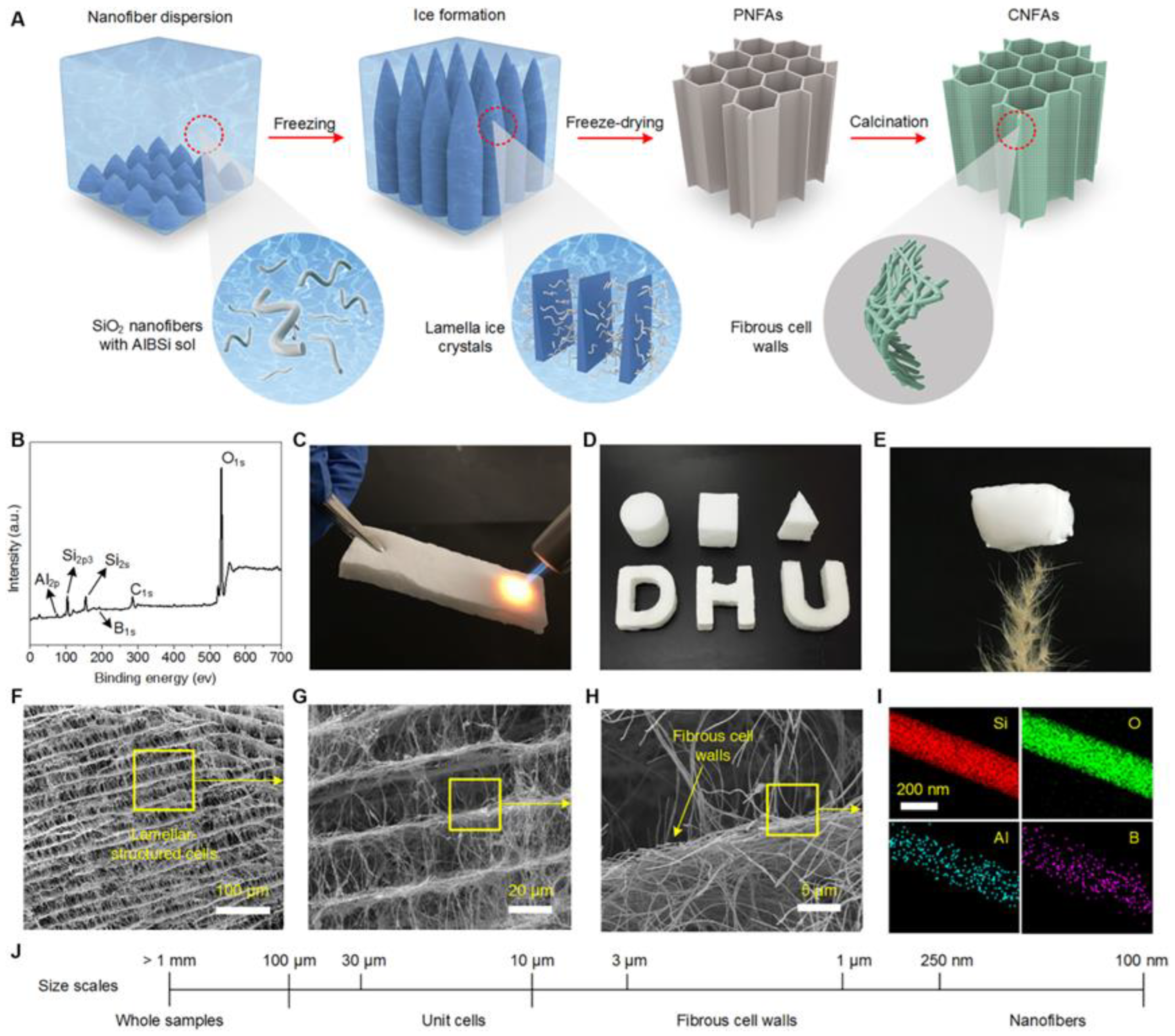 Chemistry 04 00098 g006