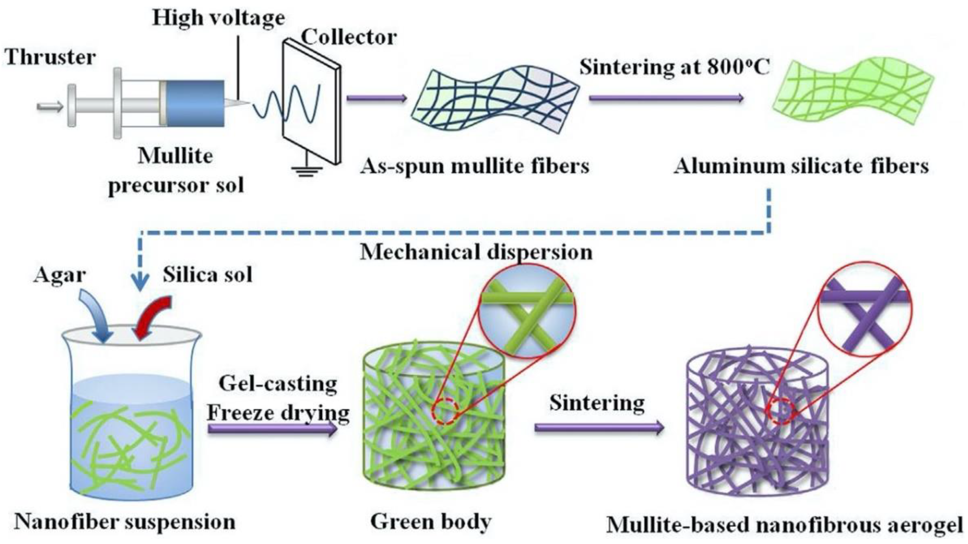 Chemistry 04 00098 g008