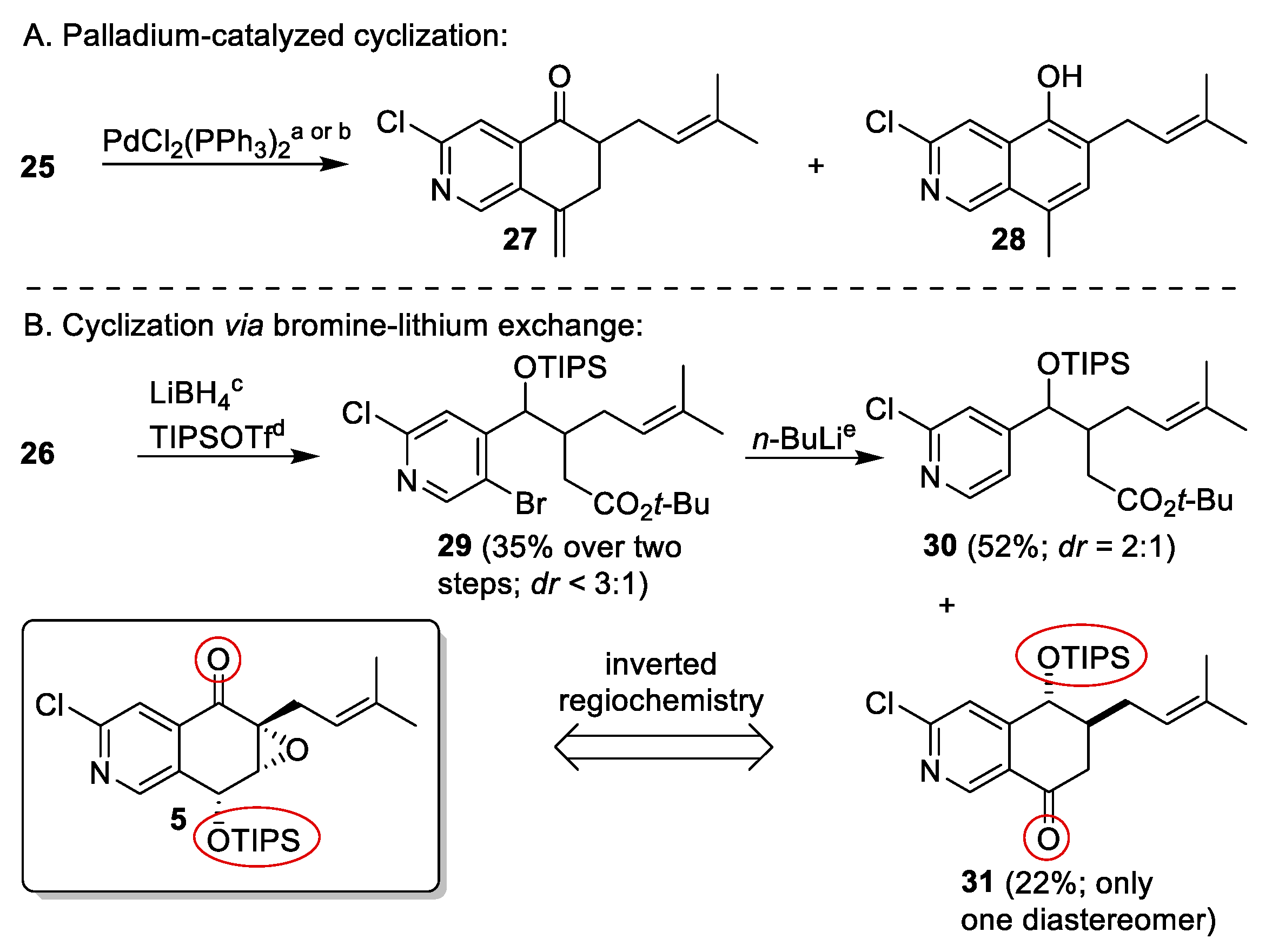 Chemistry 05 00014 sch004 Chemistry 05 00014 sch004