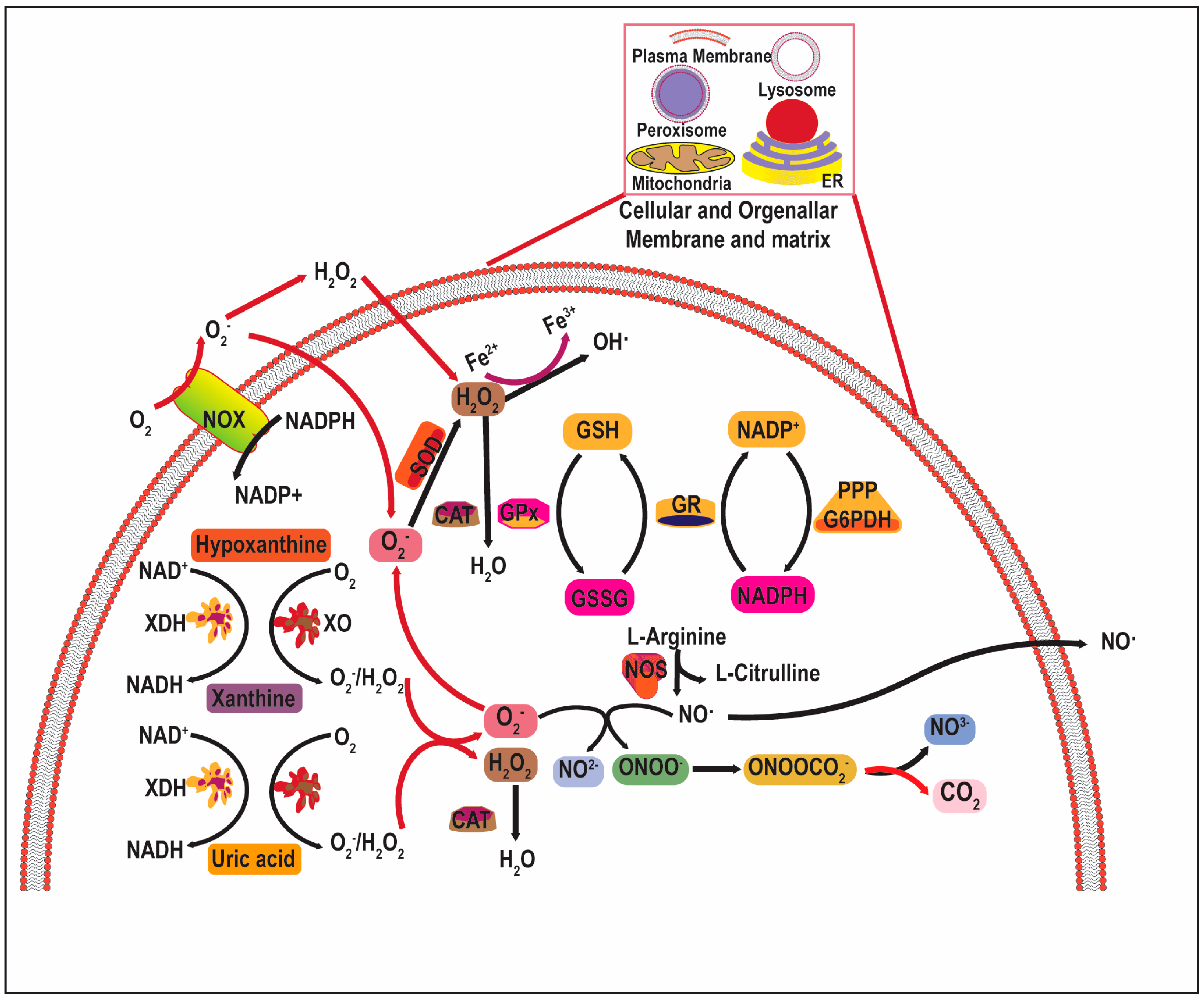 Chemistry 05 00017 g001 Chemistry 05 00017 g001