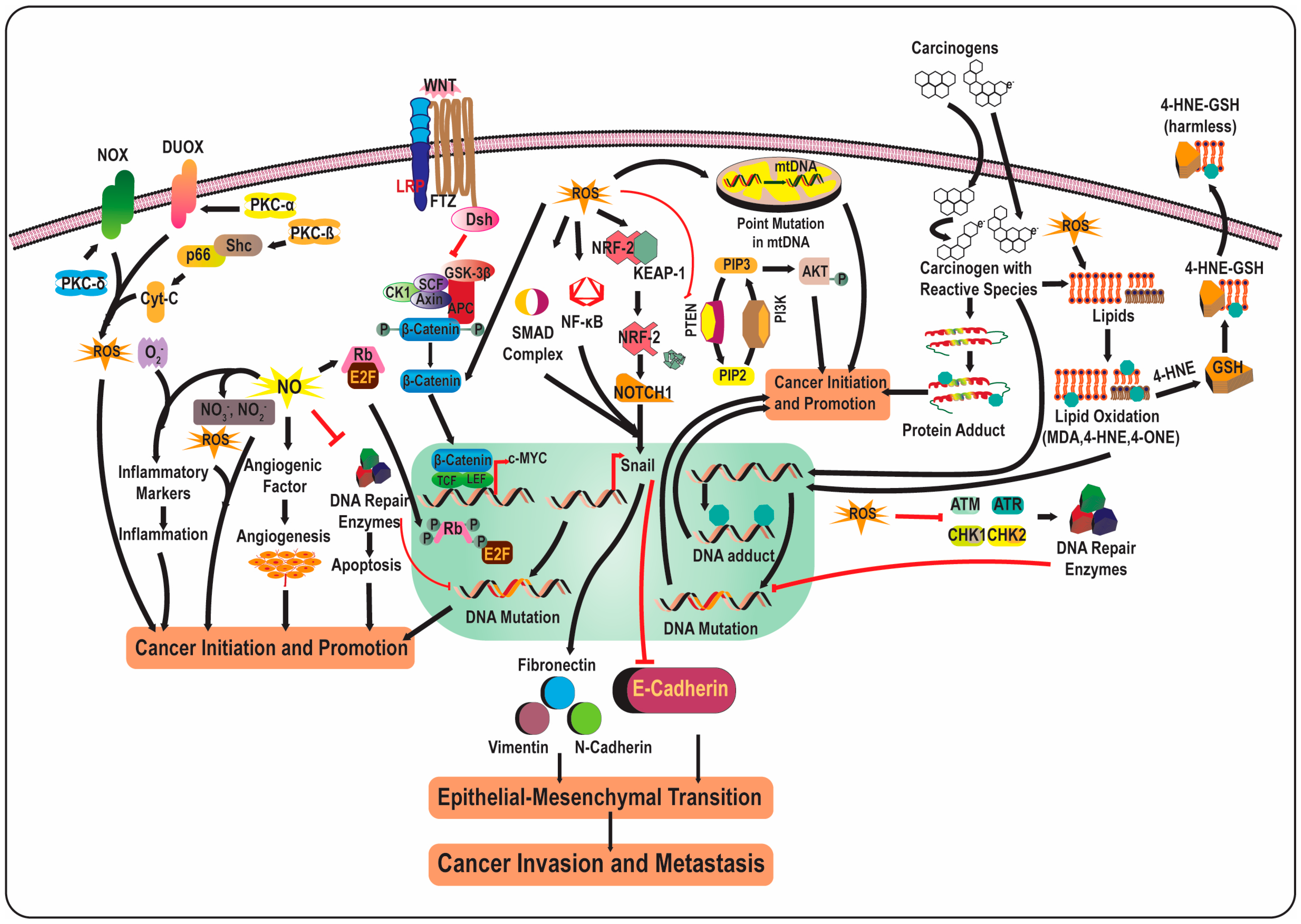 Chemistry 05 00017 g002 Chemistry 05 00017 g002