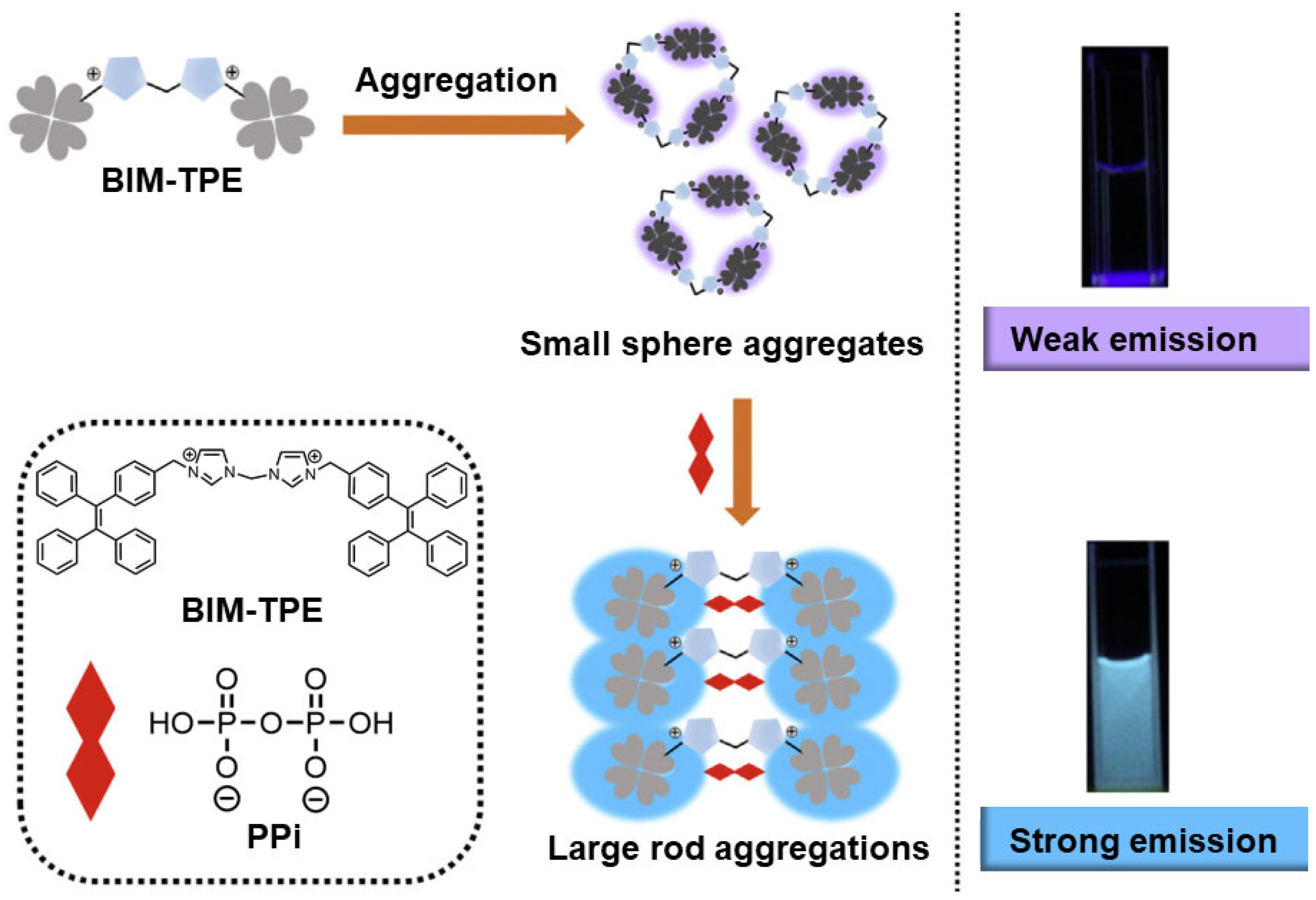 Chemistry 05 00019 g004 550