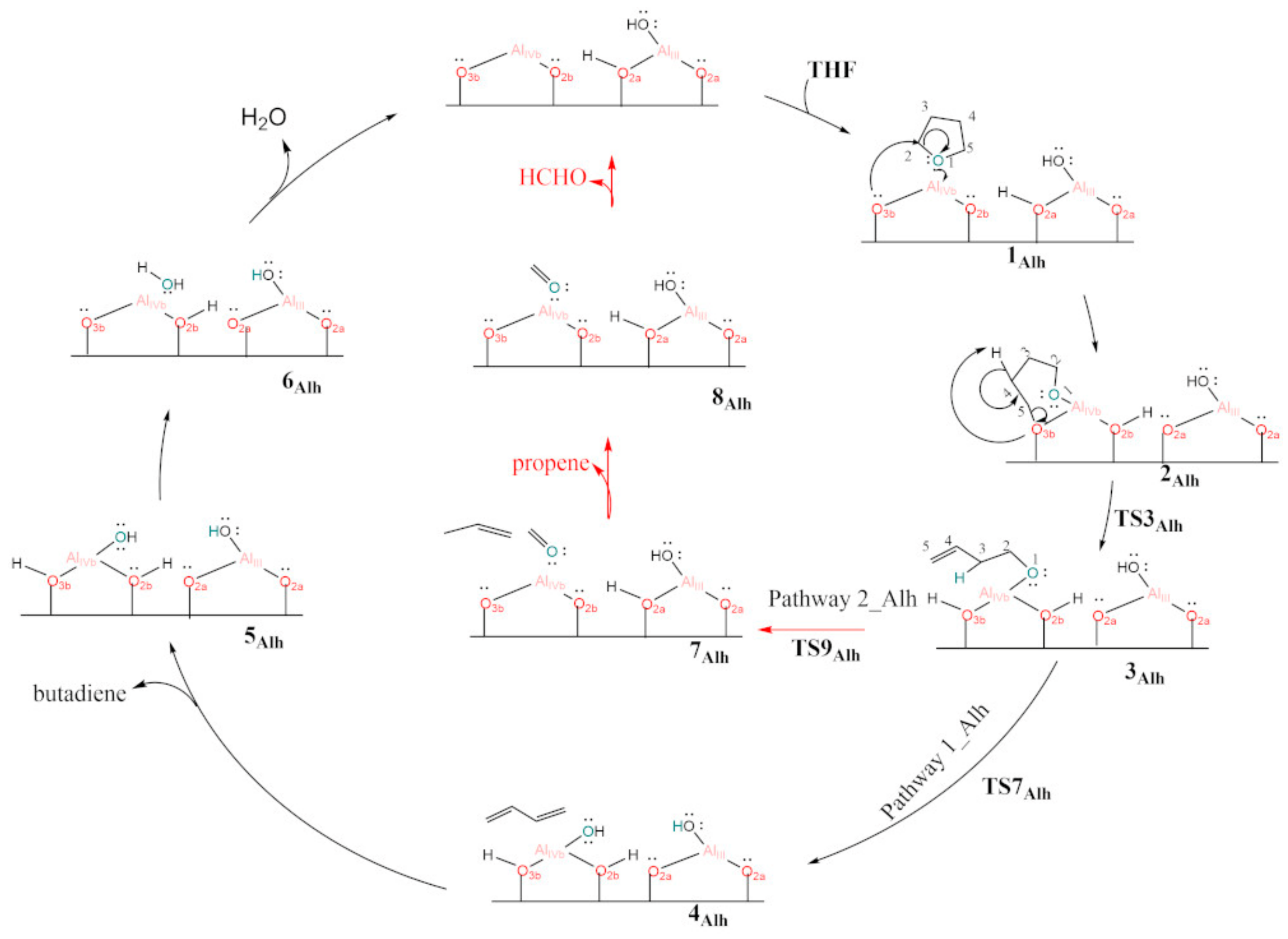 Chemistry 05 00031 sch005