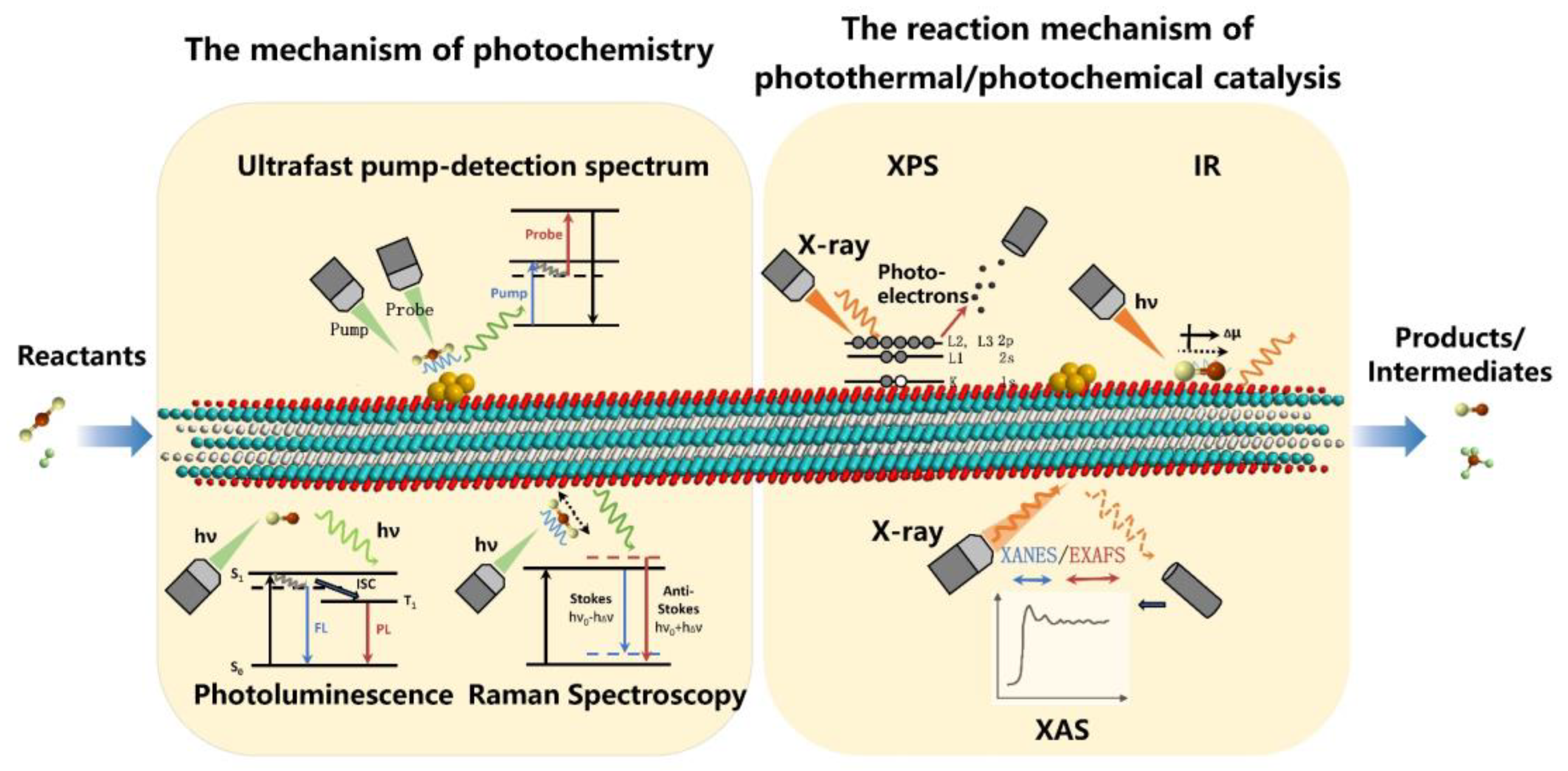 Chemistry 05 00036 g010