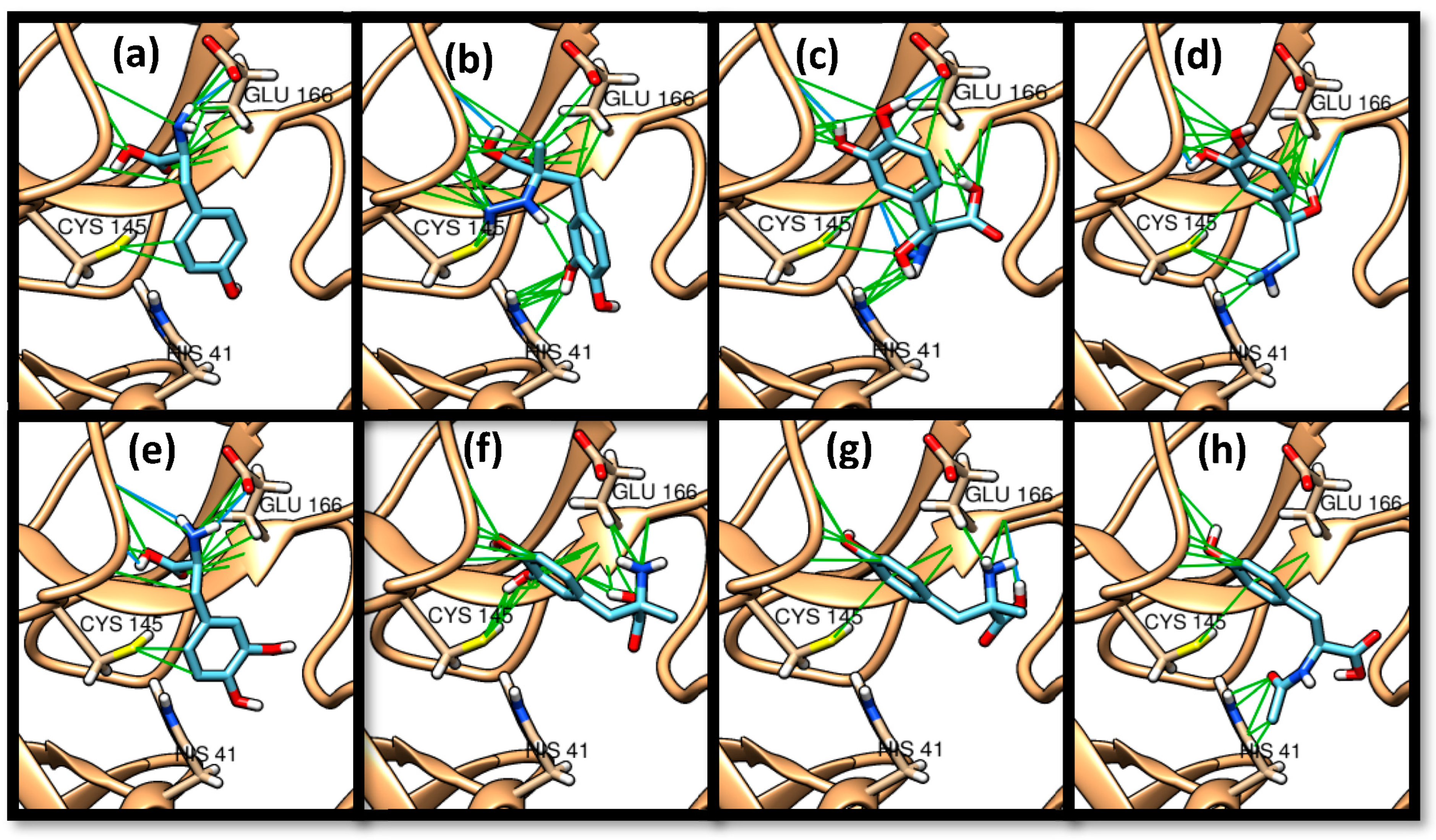 Chemistry 05 00054 g003 Chemistry 05 00054 g003