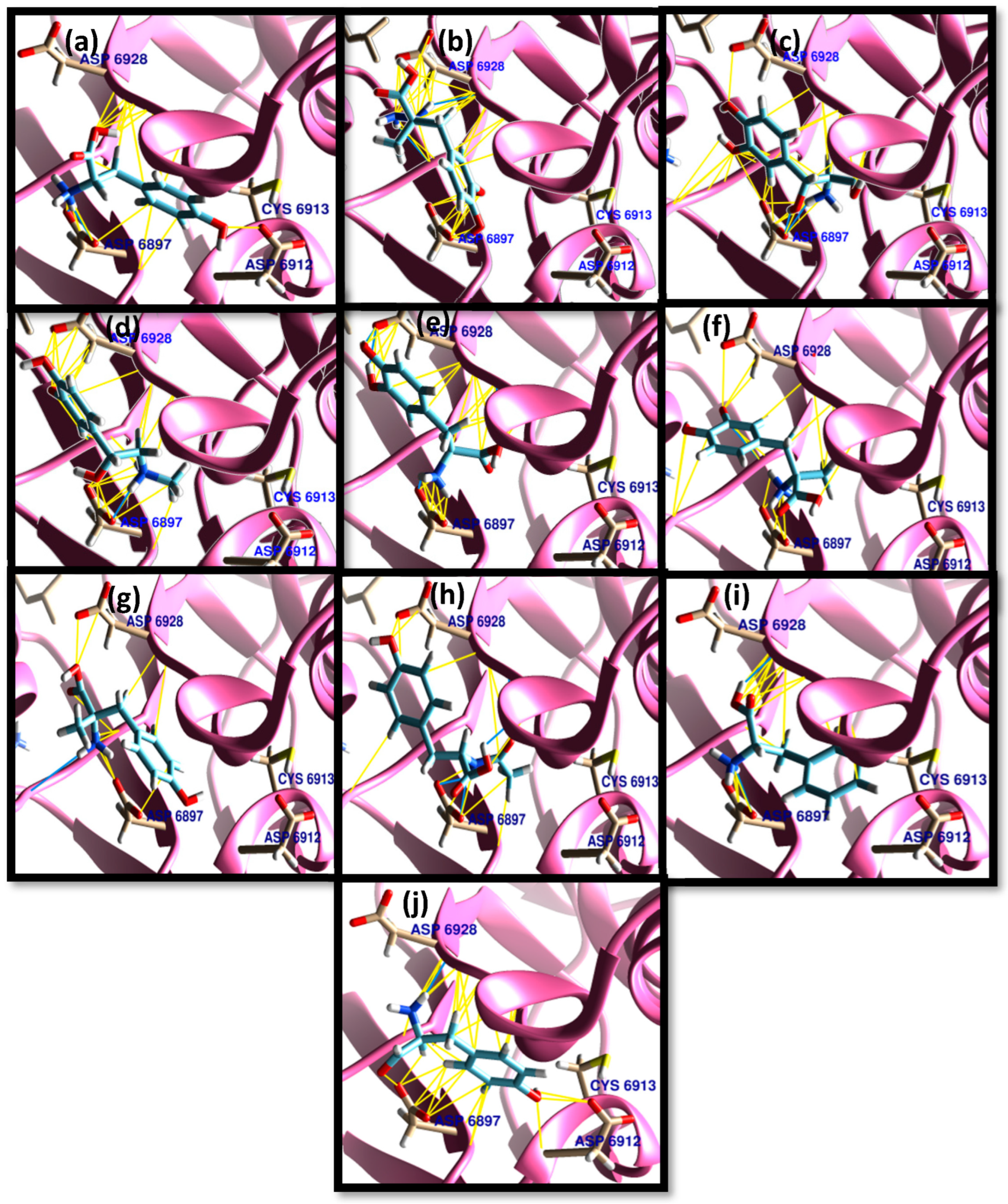 Chemistry 05 00054 g004 Chemistry 05 00054 g004