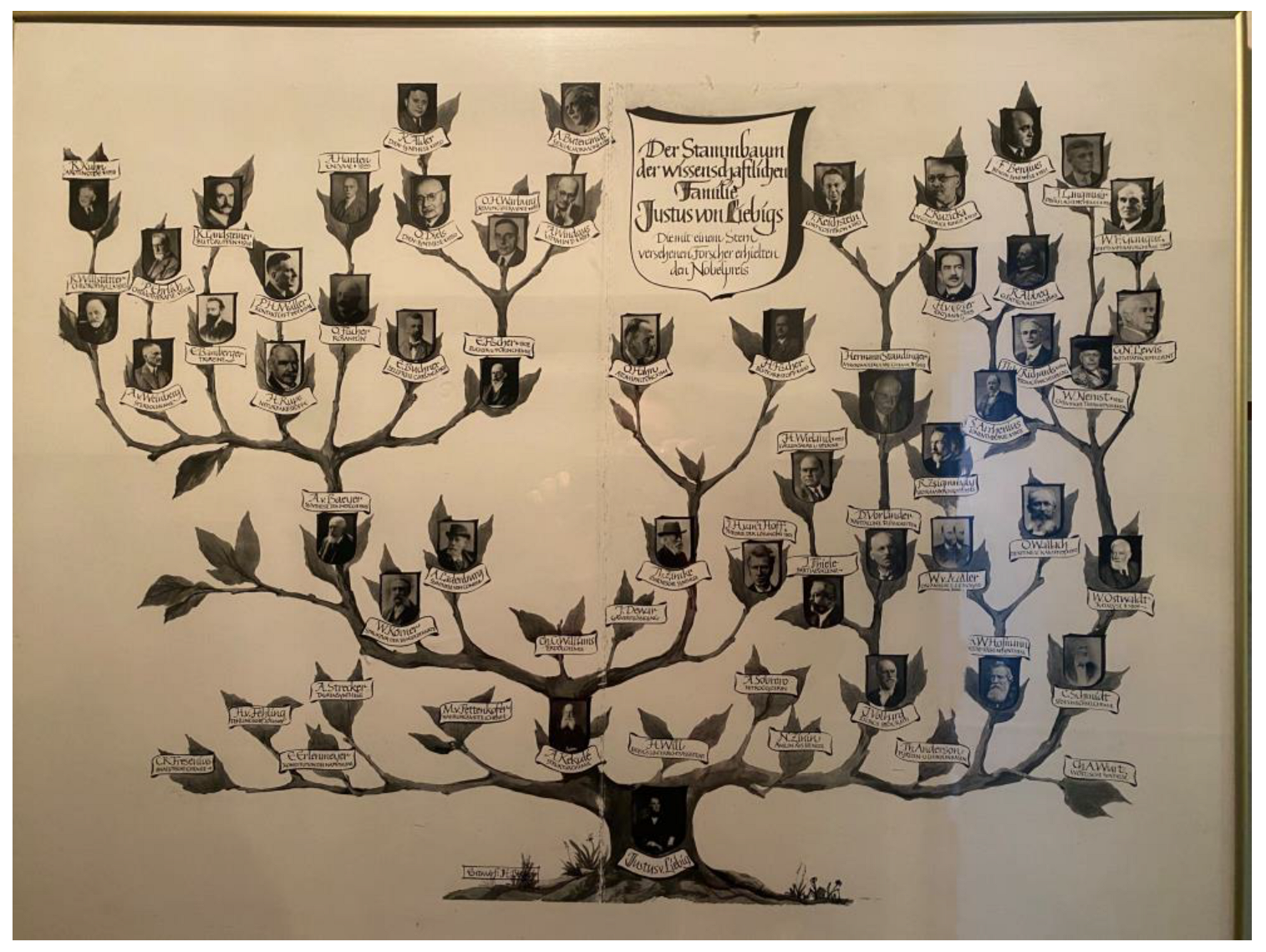 Chemistry 05 00071 g004 550