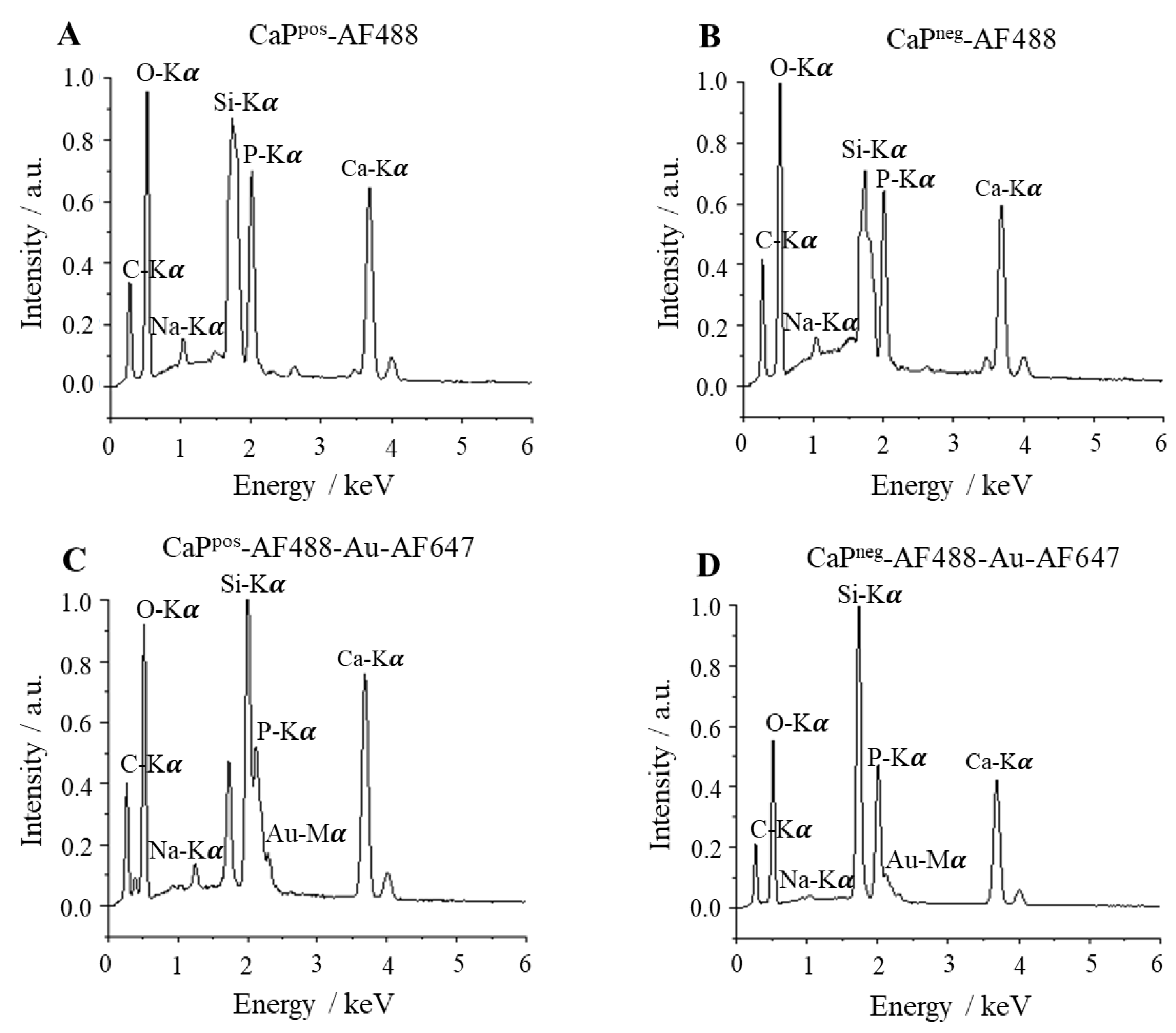 Chemistry 05 00072 g007
