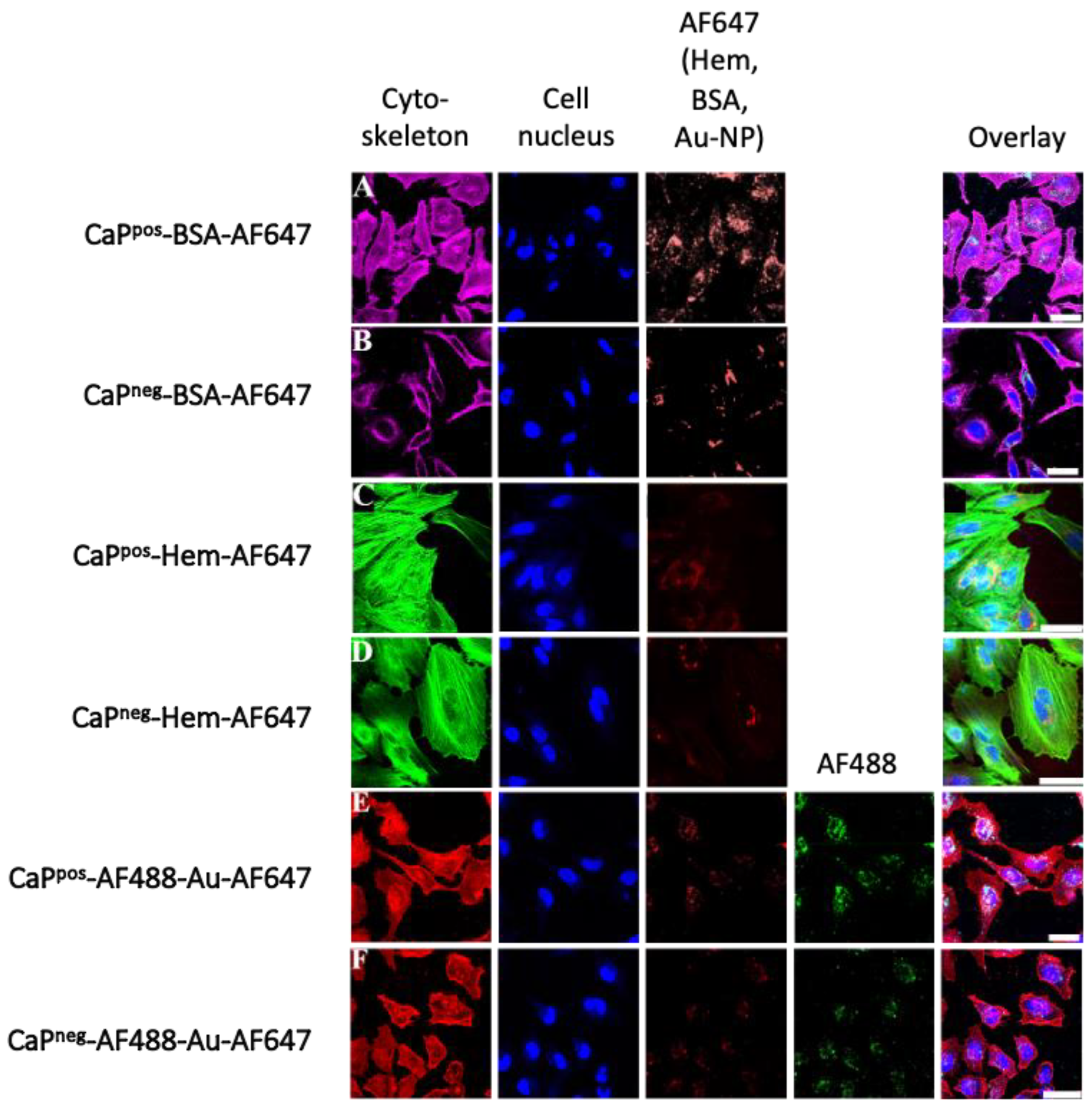 Chemistry 05 00072 g009