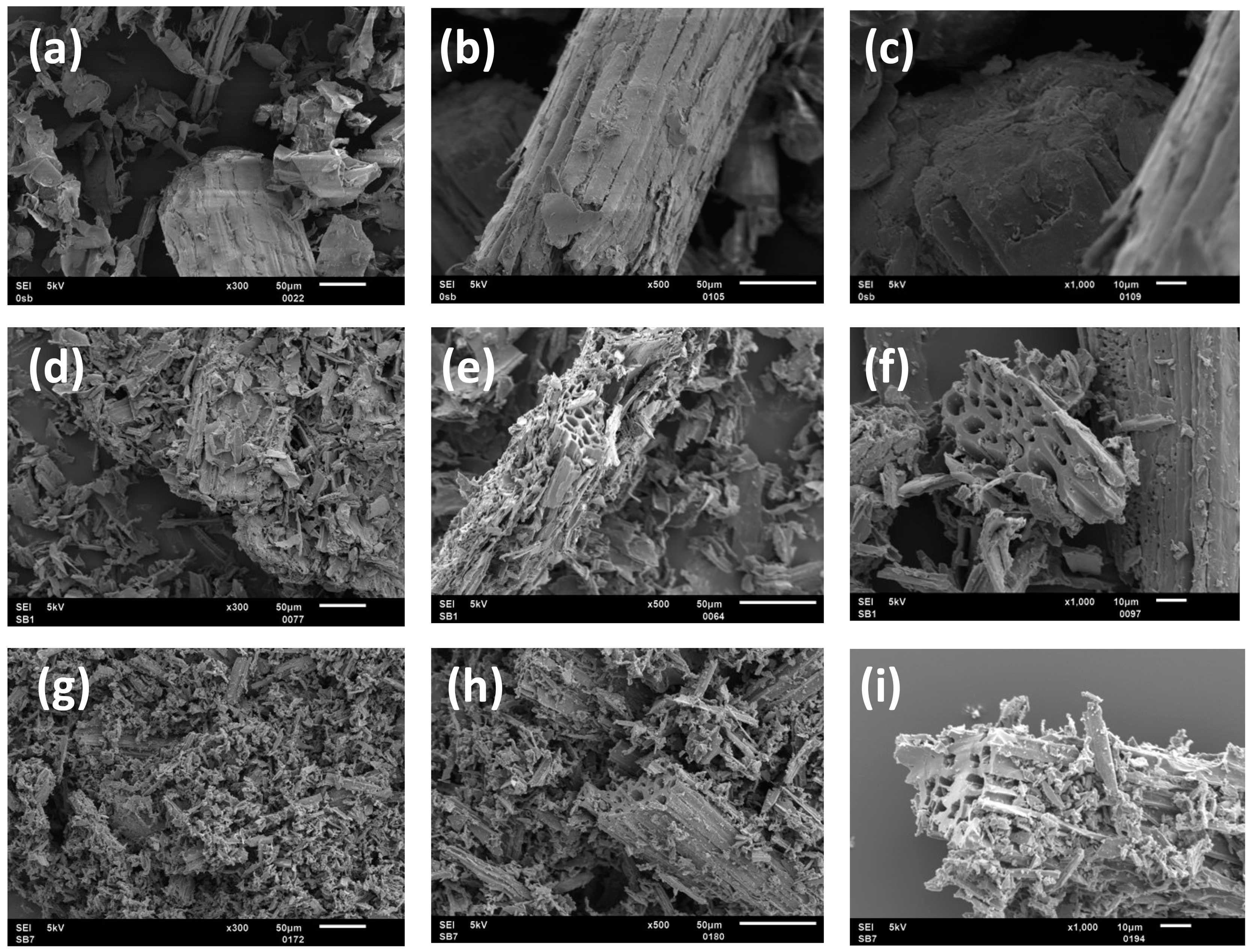 Chemistry 05 00077 g003 Chemistry 05 00077 g003