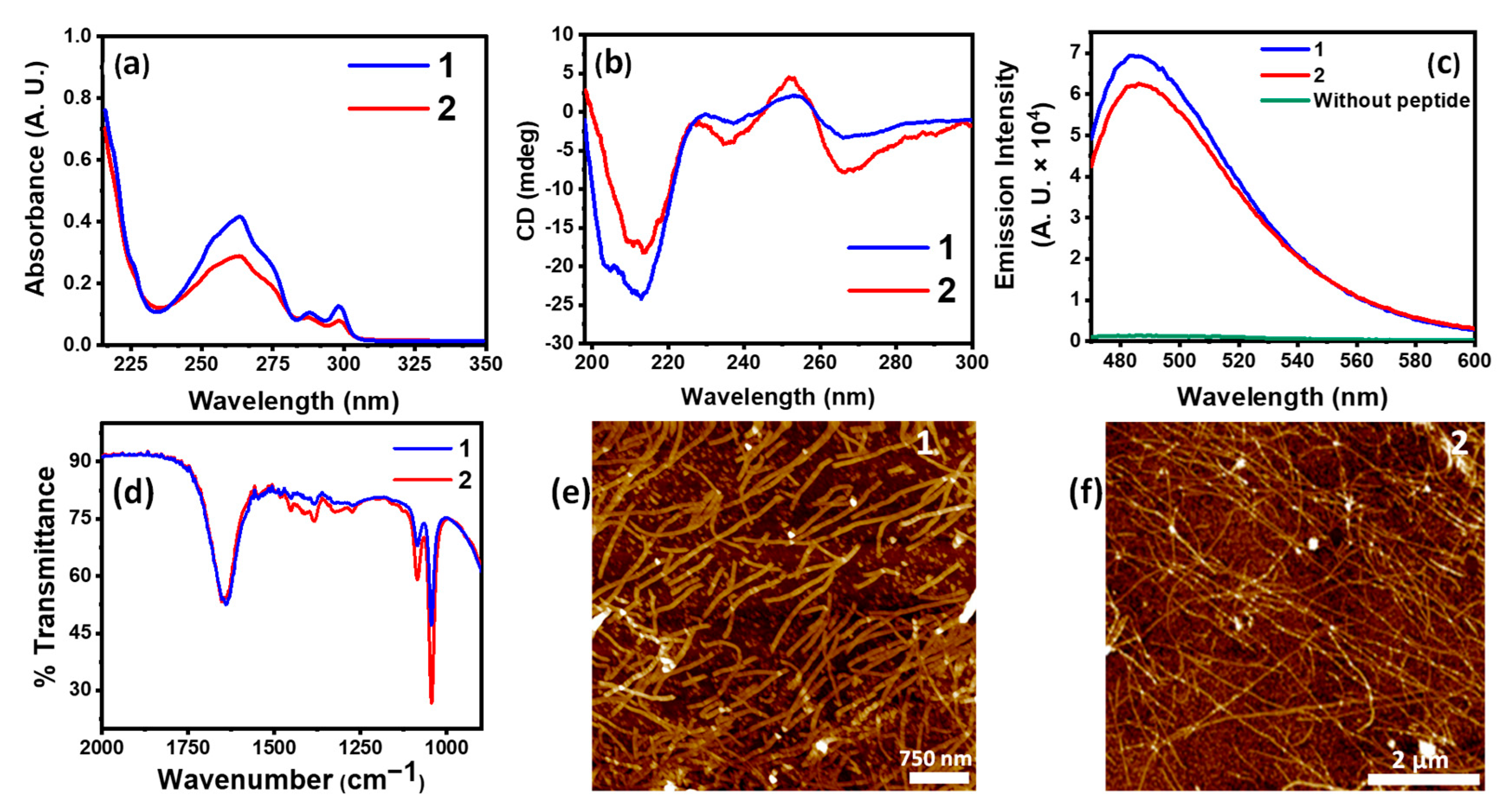 Chemistry 05 00080 g001 Chemistry 05 00080 g001