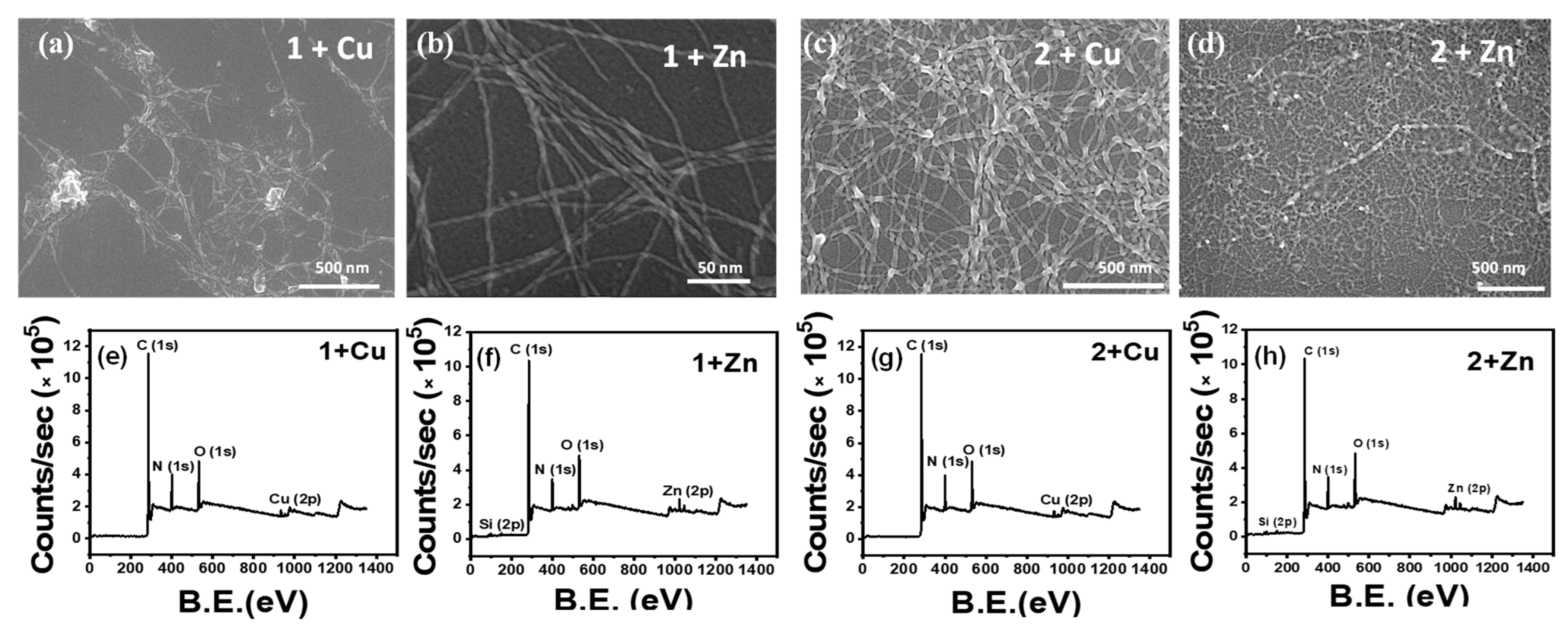 Chemistry 05 00080 g002 Chemistry 05 00080 g002
