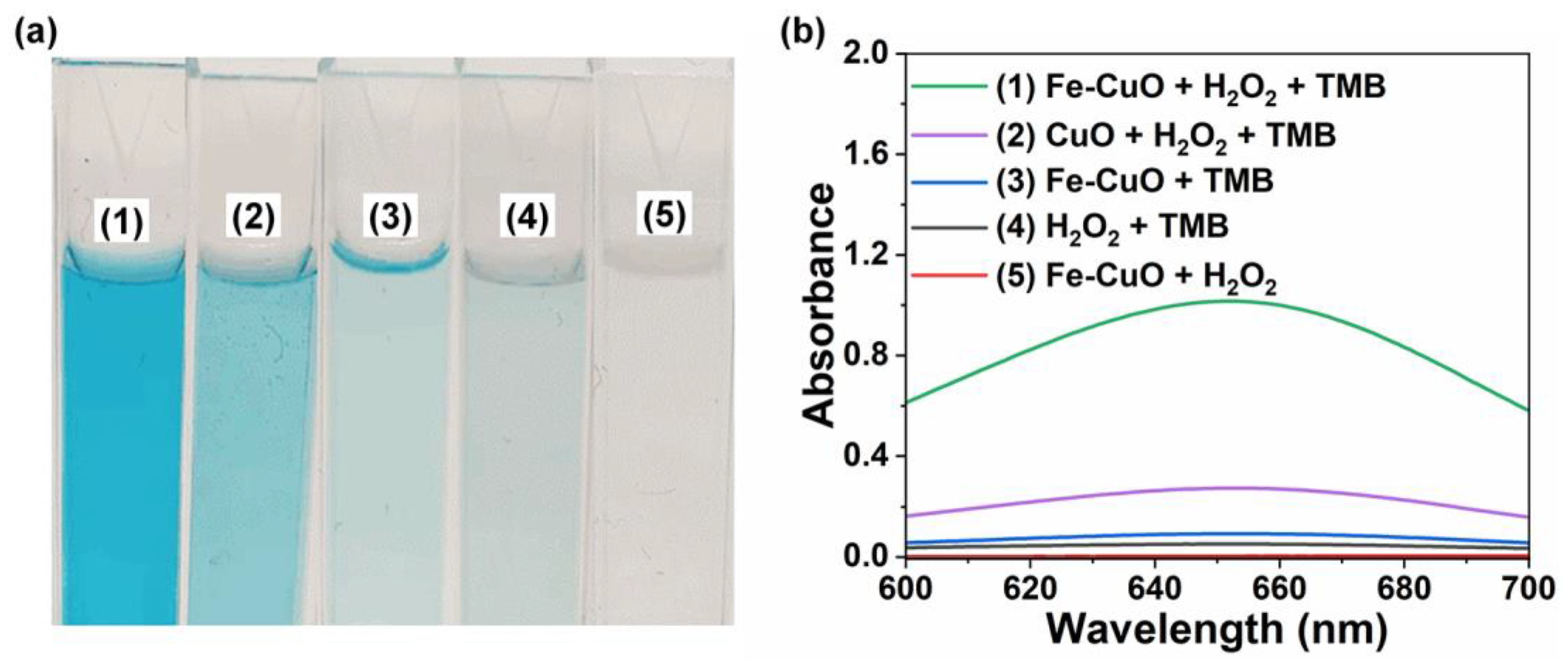 Chemistry 05 00088 g004 Chemistry 05 00088 g004