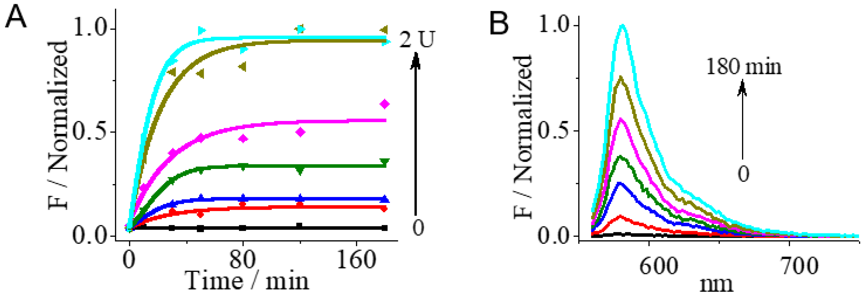 Chemistry 05 00102 g006 Chemistry 05 00102 g006
