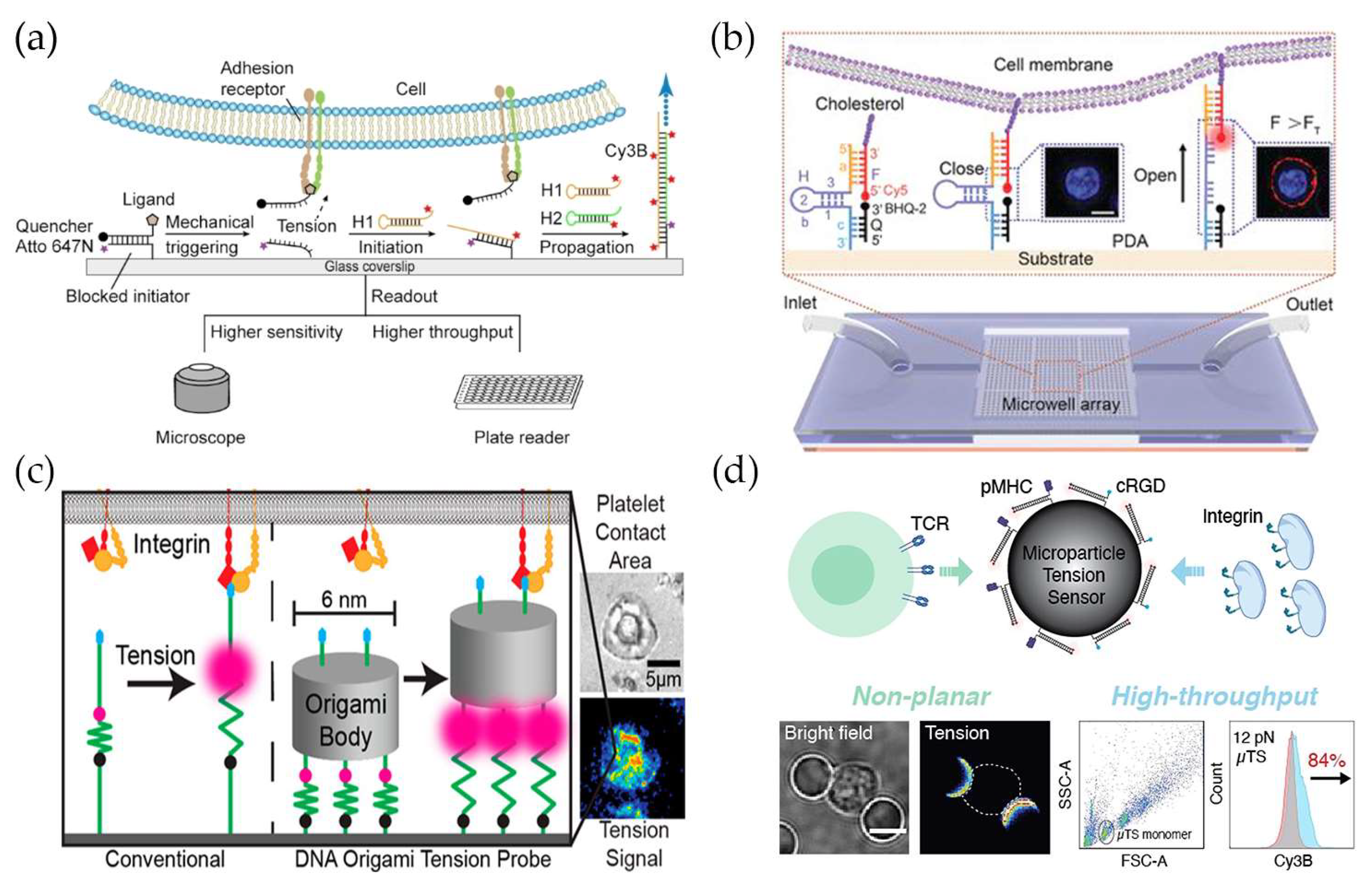 Chemistry 05 00106 g002 Chemistry 05 00106 g002